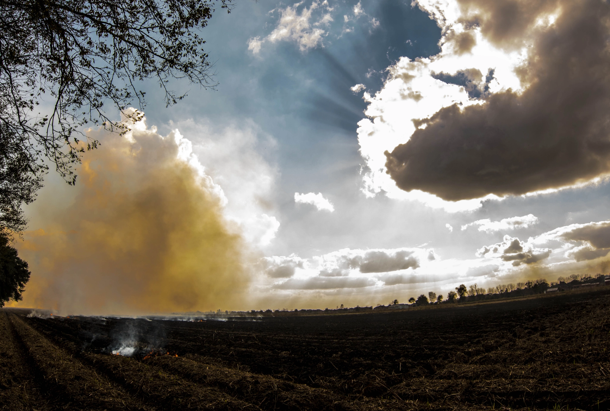 Canon EF 11-24mm F4L USM sample photo. Burning beds photography