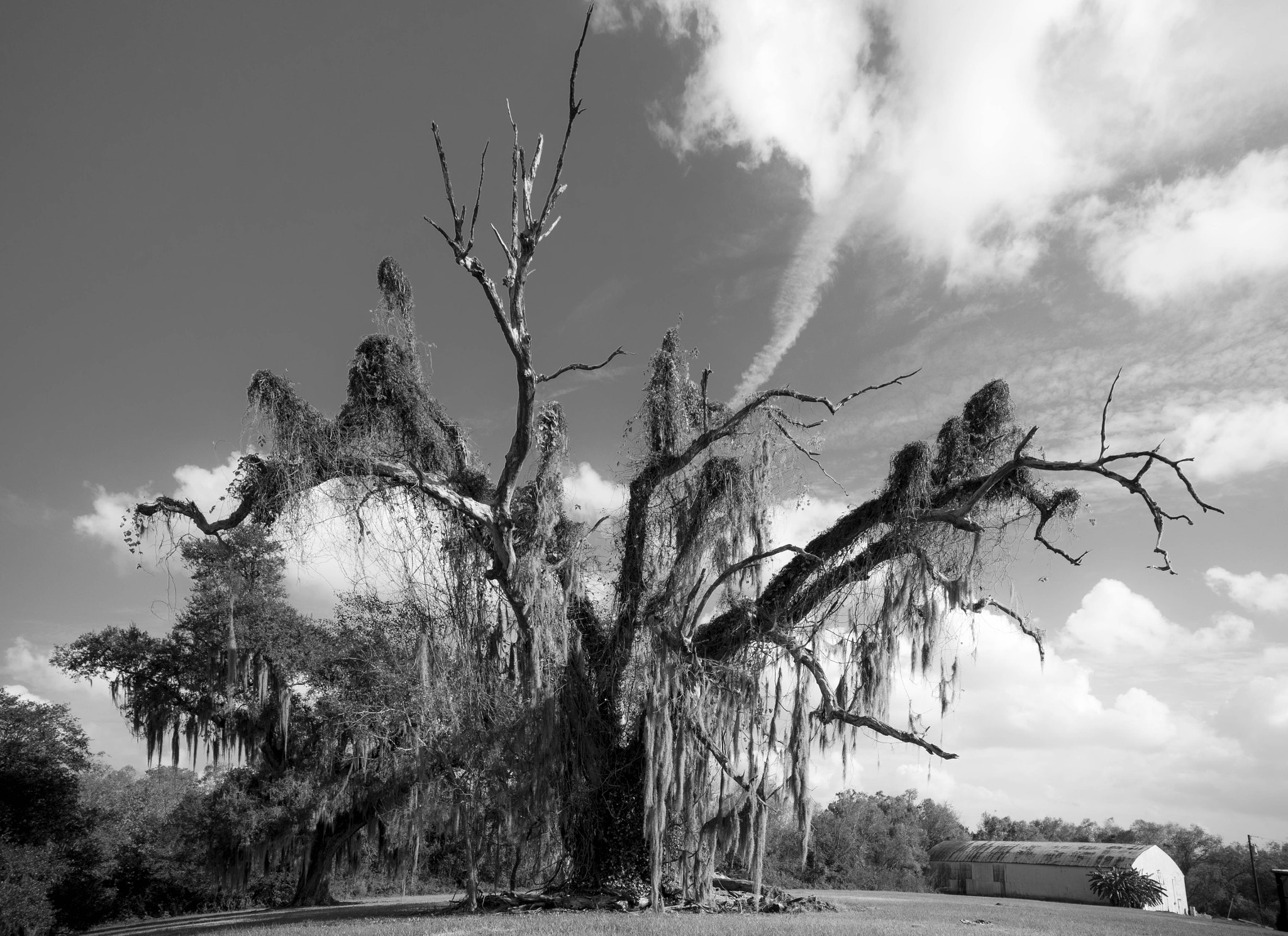 Canon EF 11-24mm F4L USM sample photo. Not in kansas anymore photography