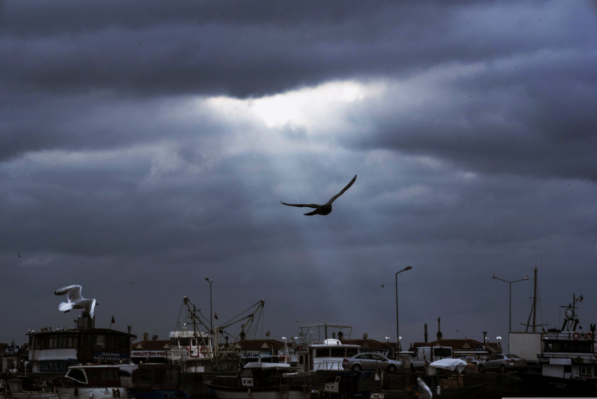 Sigma 150mm F2.8 EX DG Macro HSM sample photo. Silivri... photography