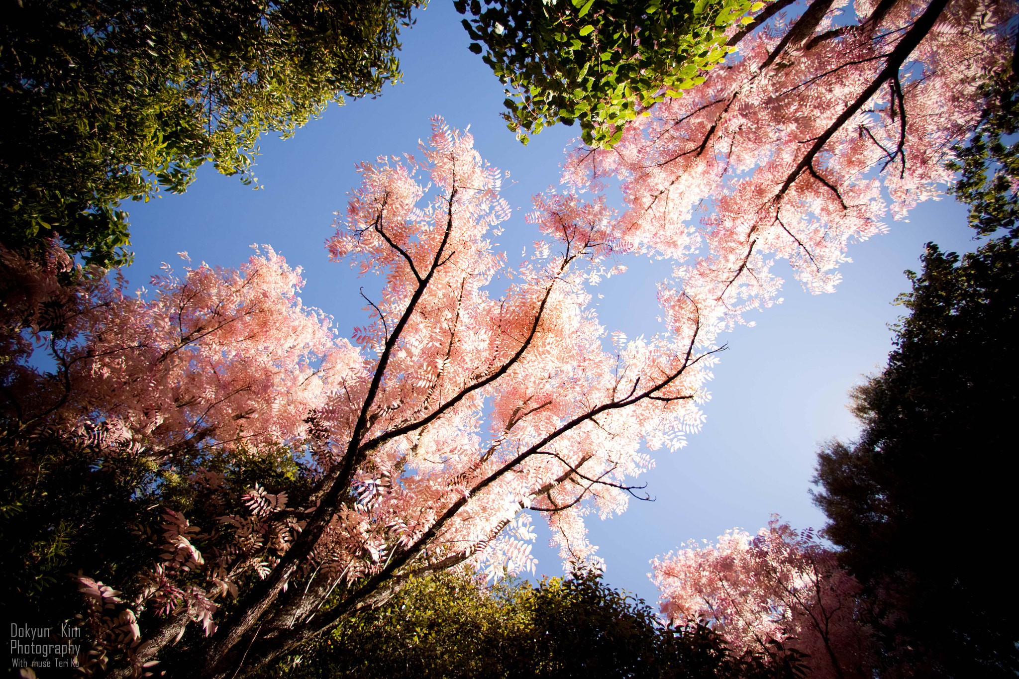 Canon EOS 5D Mark II + Canon EF 14mm F2.8L USM sample photo. Underland photography