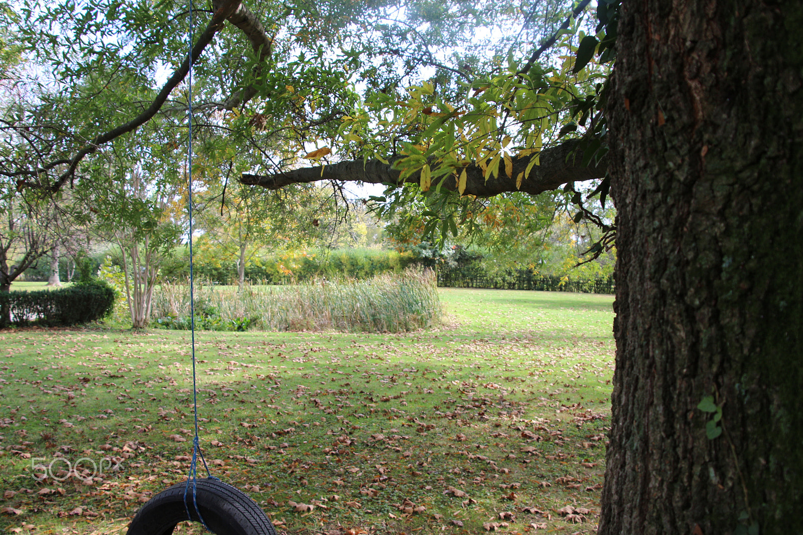 Canon EOS 650D (EOS Rebel T4i / EOS Kiss X6i) sample photo. Fall landscape 1 photography