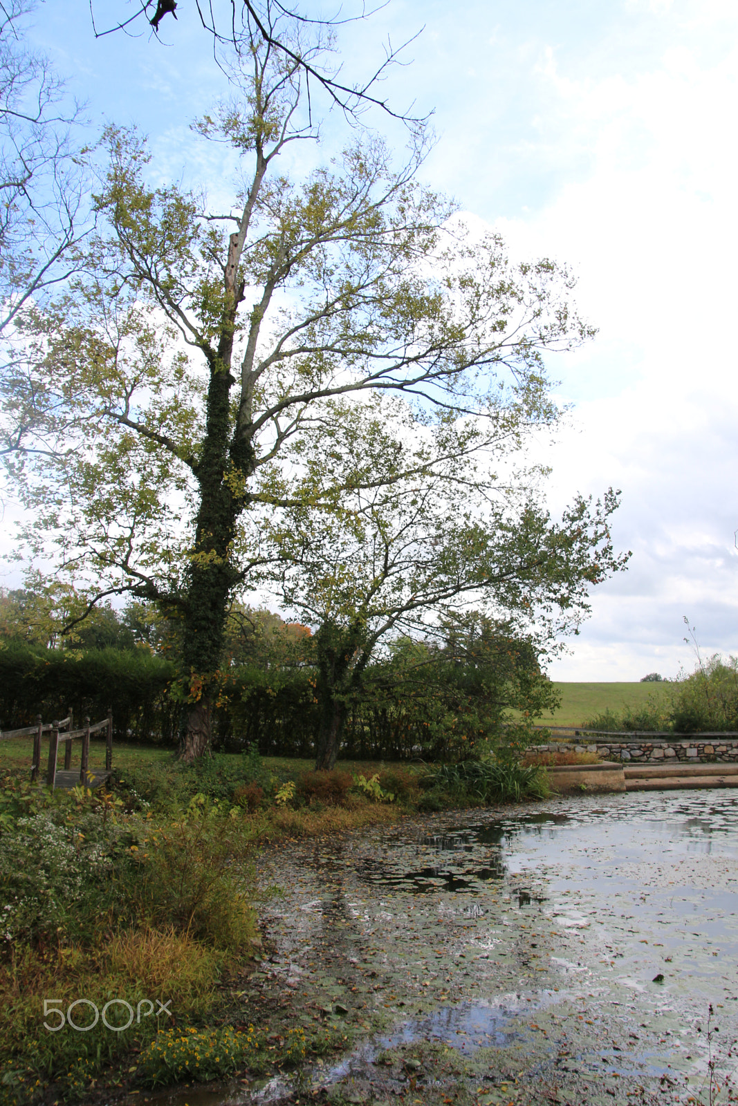 Canon EOS 650D (EOS Rebel T4i / EOS Kiss X6i) sample photo. Oatlands historic home and gardens photography