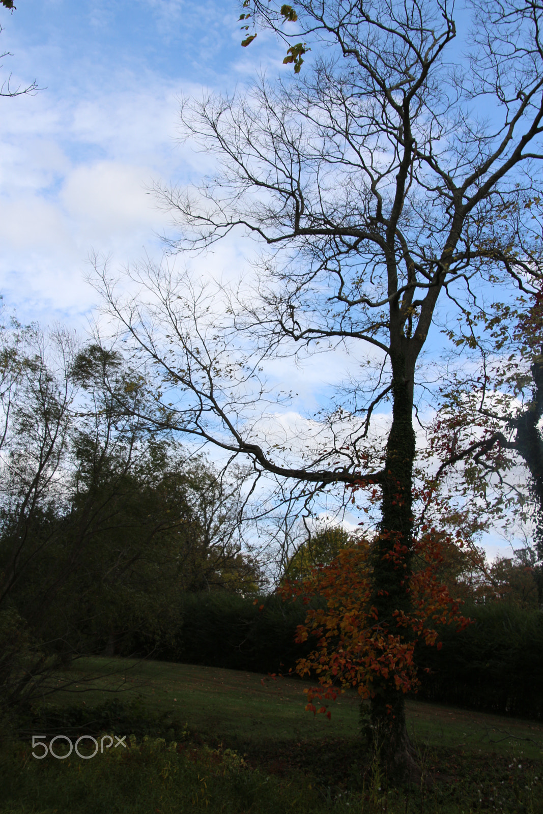 Canon EOS 650D (EOS Rebel T4i / EOS Kiss X6i) sample photo. Oatlands historic home and gardens photography