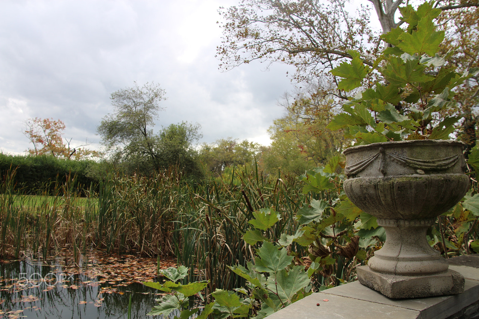 Canon EOS 650D (EOS Rebel T4i / EOS Kiss X6i) sample photo. Oatlands historic home and gardens photography