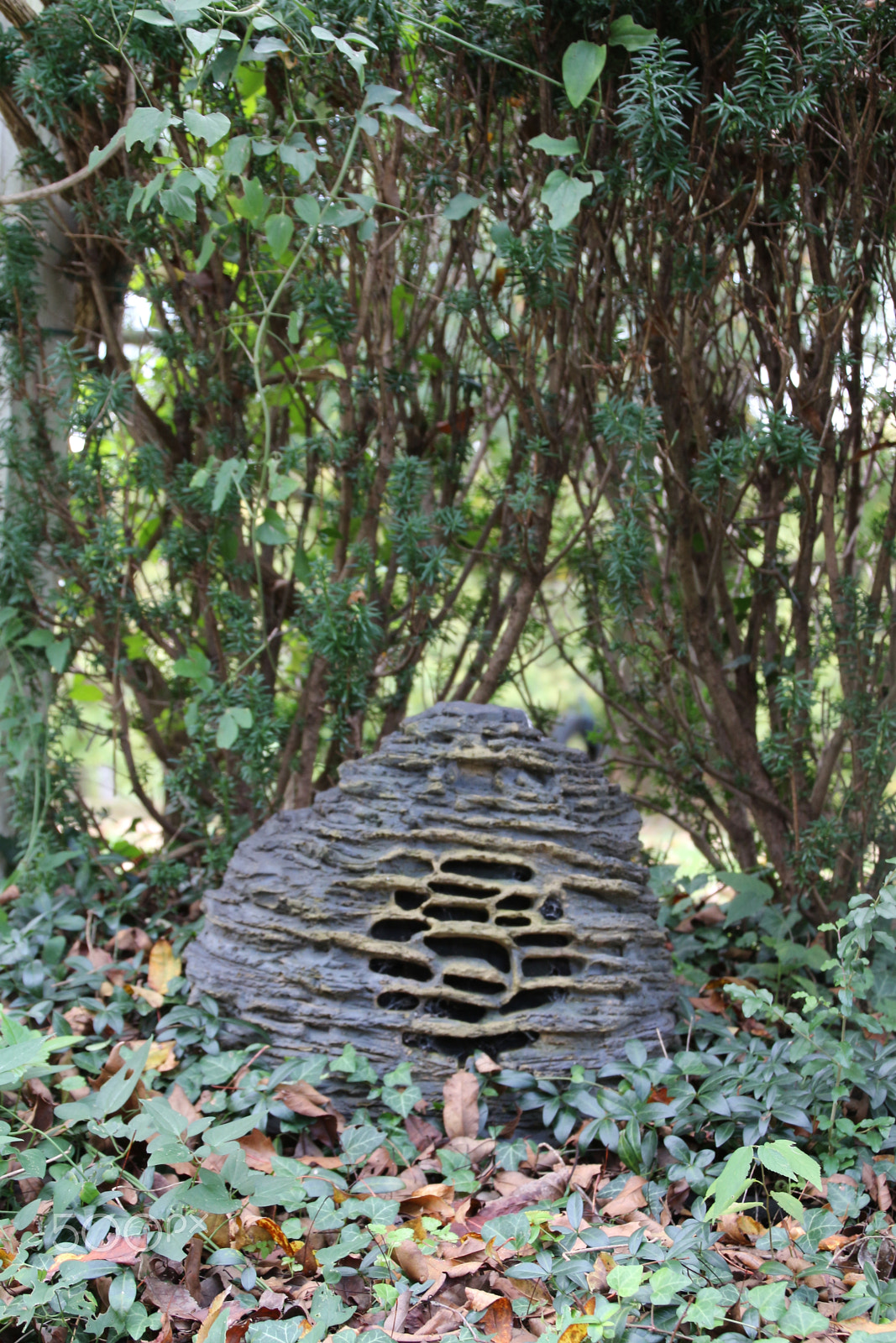 Canon EOS 650D (EOS Rebel T4i / EOS Kiss X6i) sample photo. Oatlands historic home and gardens photography