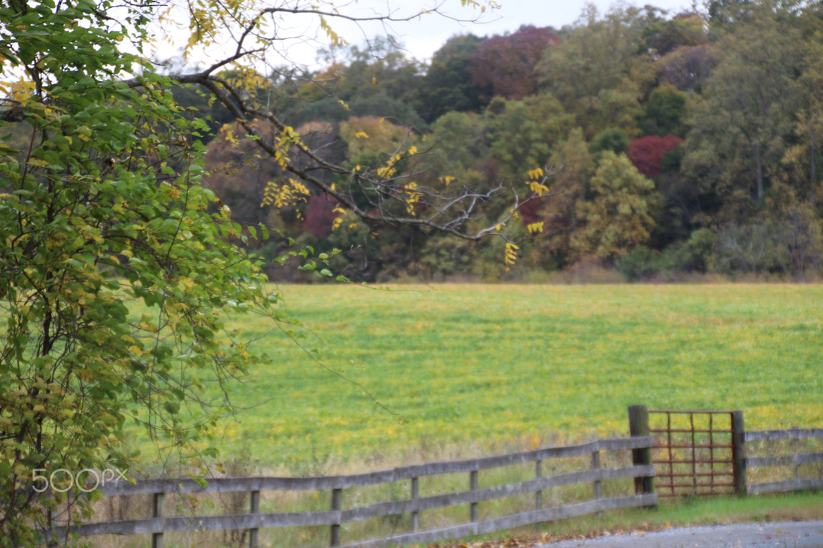 Canon EOS 650D (EOS Rebel T4i / EOS Kiss X6i) sample photo. Oatlands historic home and gardens photography