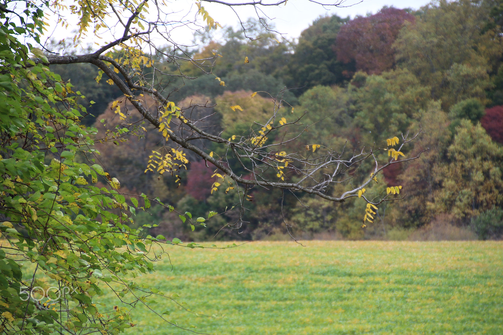 Canon EOS 650D (EOS Rebel T4i / EOS Kiss X6i) sample photo. Oatlands historic home and gardens photography