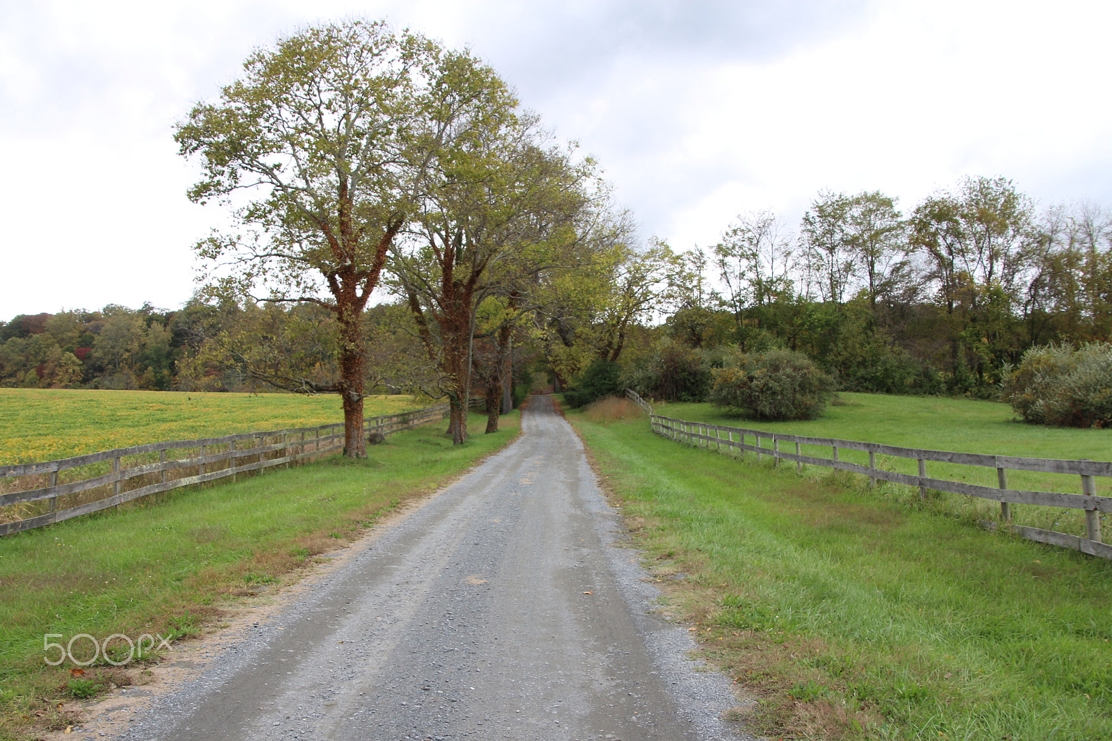 Canon EOS 650D (EOS Rebel T4i / EOS Kiss X6i) sample photo. Oatlands historic home and gardens photography