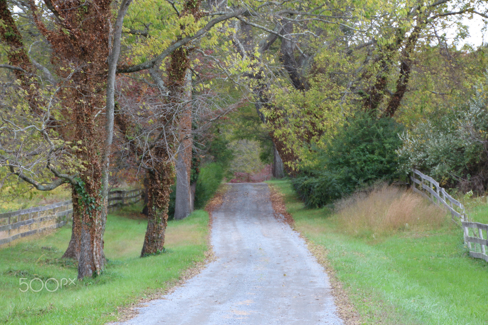 Canon EOS 650D (EOS Rebel T4i / EOS Kiss X6i) sample photo. Oatlands historic home and gardens photography