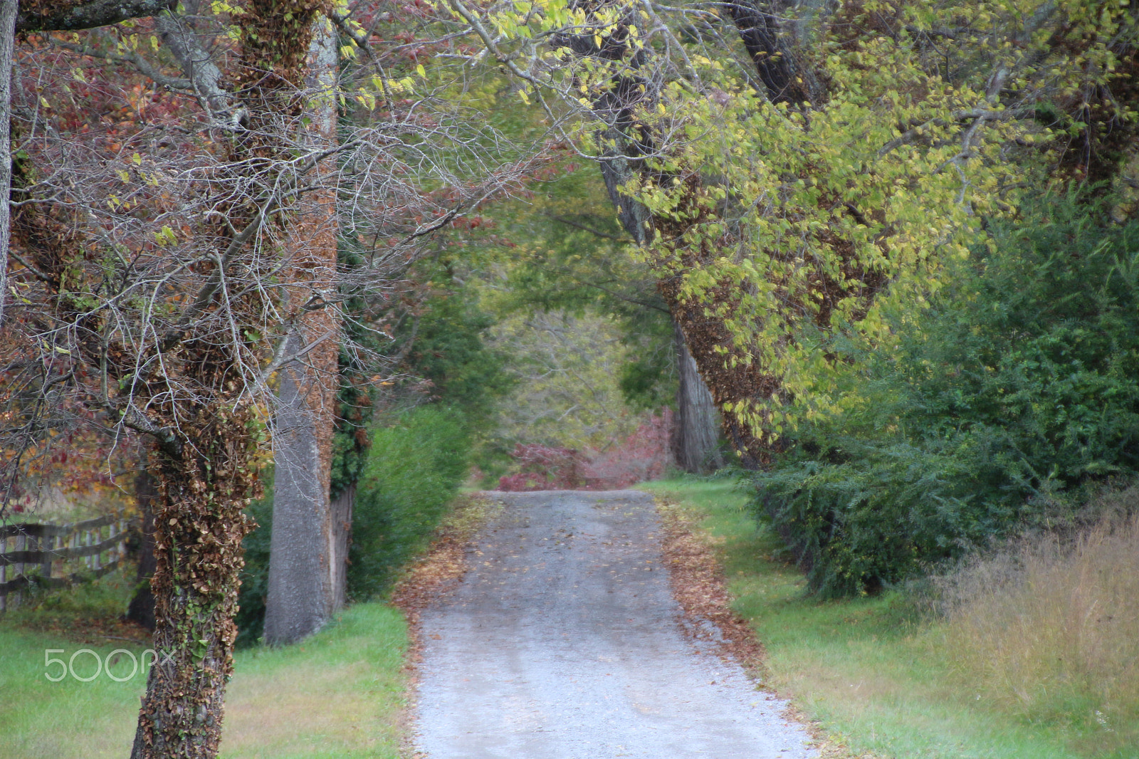 Canon EOS 650D (EOS Rebel T4i / EOS Kiss X6i) sample photo. Oatlands historic home and gardens photography