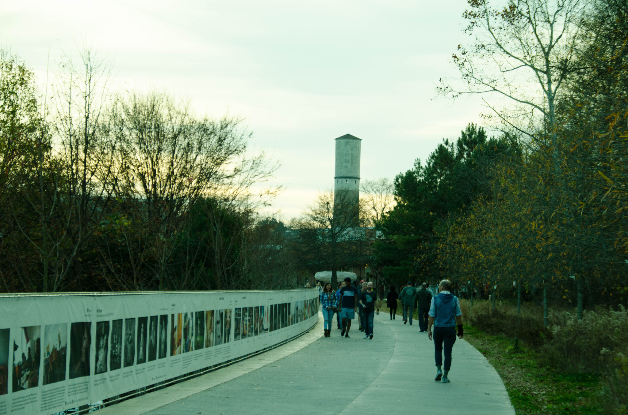 Sigma 18-200mm F3.5-6.3 DC OS HSM sample photo. Photography display on the beltline photography