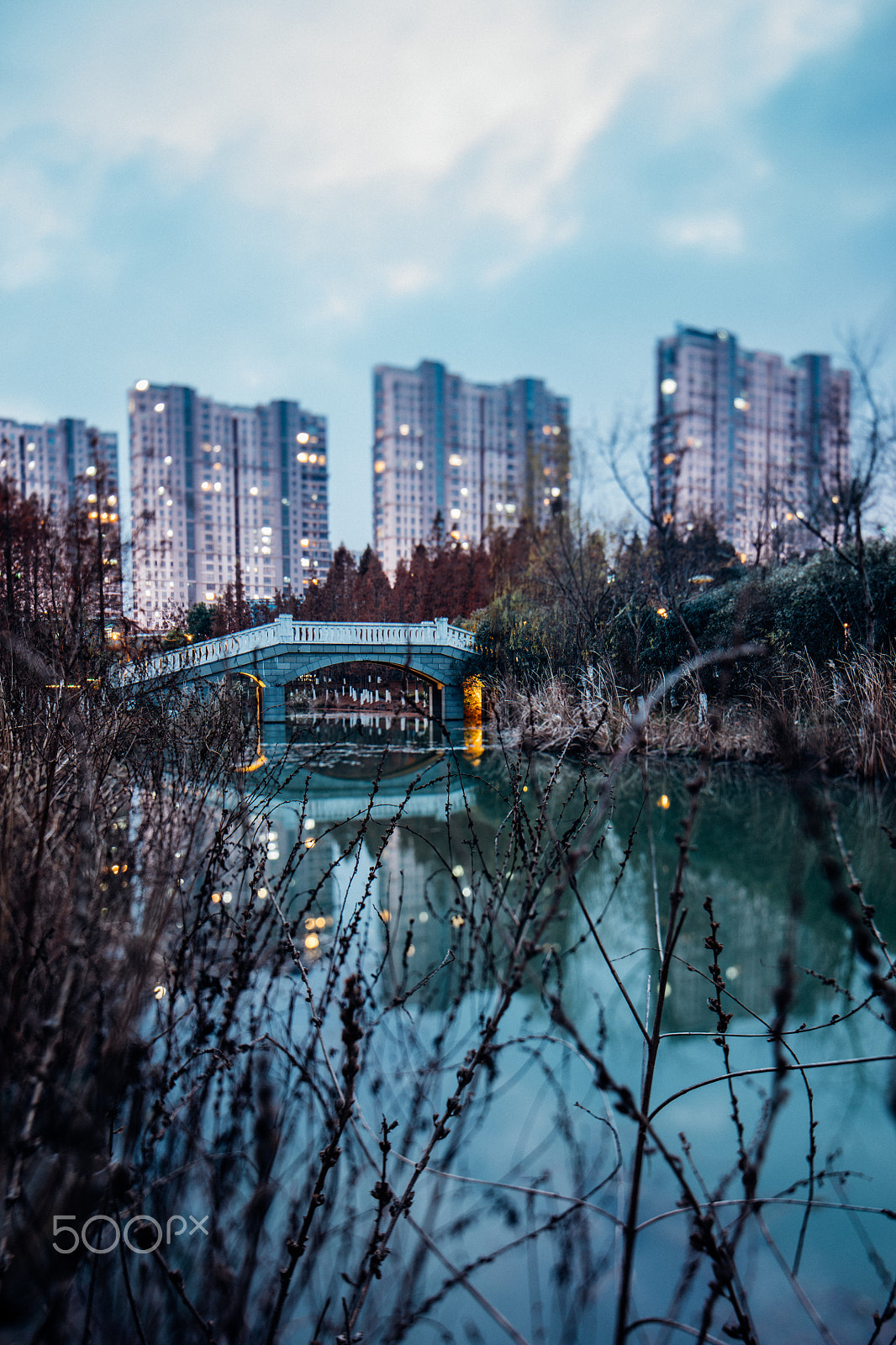Canon TS-E 24.0mm f/3.5 L II sample photo. Park photography