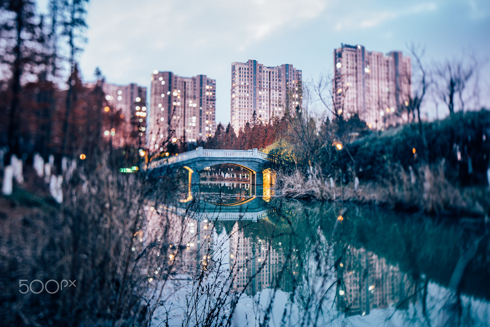 Canon TS-E 24.0mm f/3.5 L II sample photo. Park photography