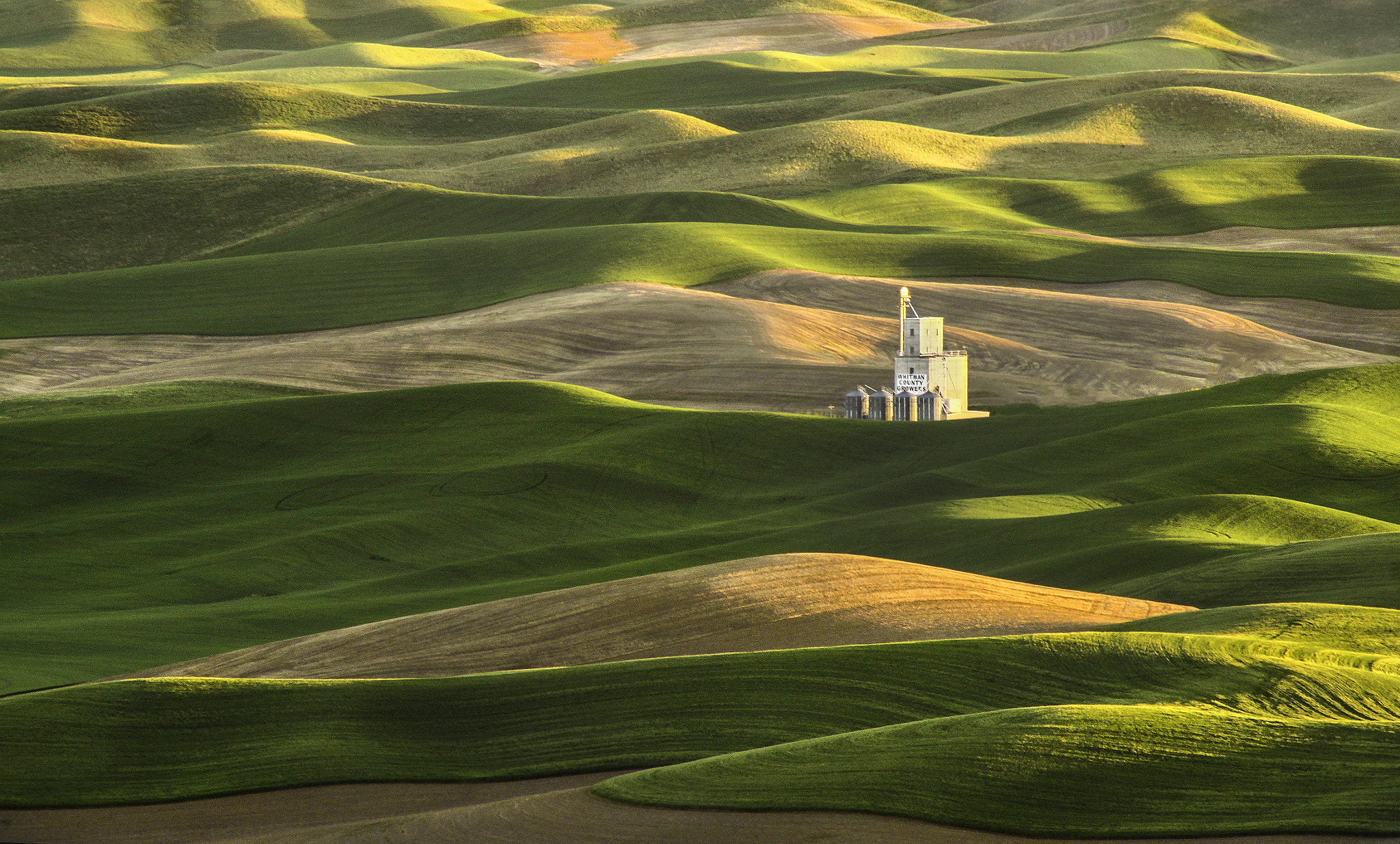Canon EF 75-300mm f/4-5.6 USM sample photo. Palouse country photography
