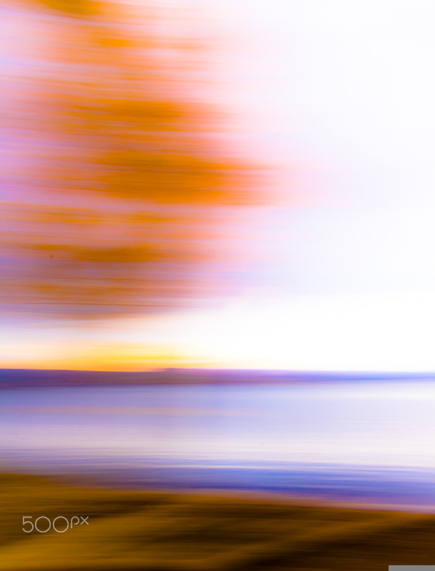 Pentax K-3 II sample photo. Fall abstracts photography