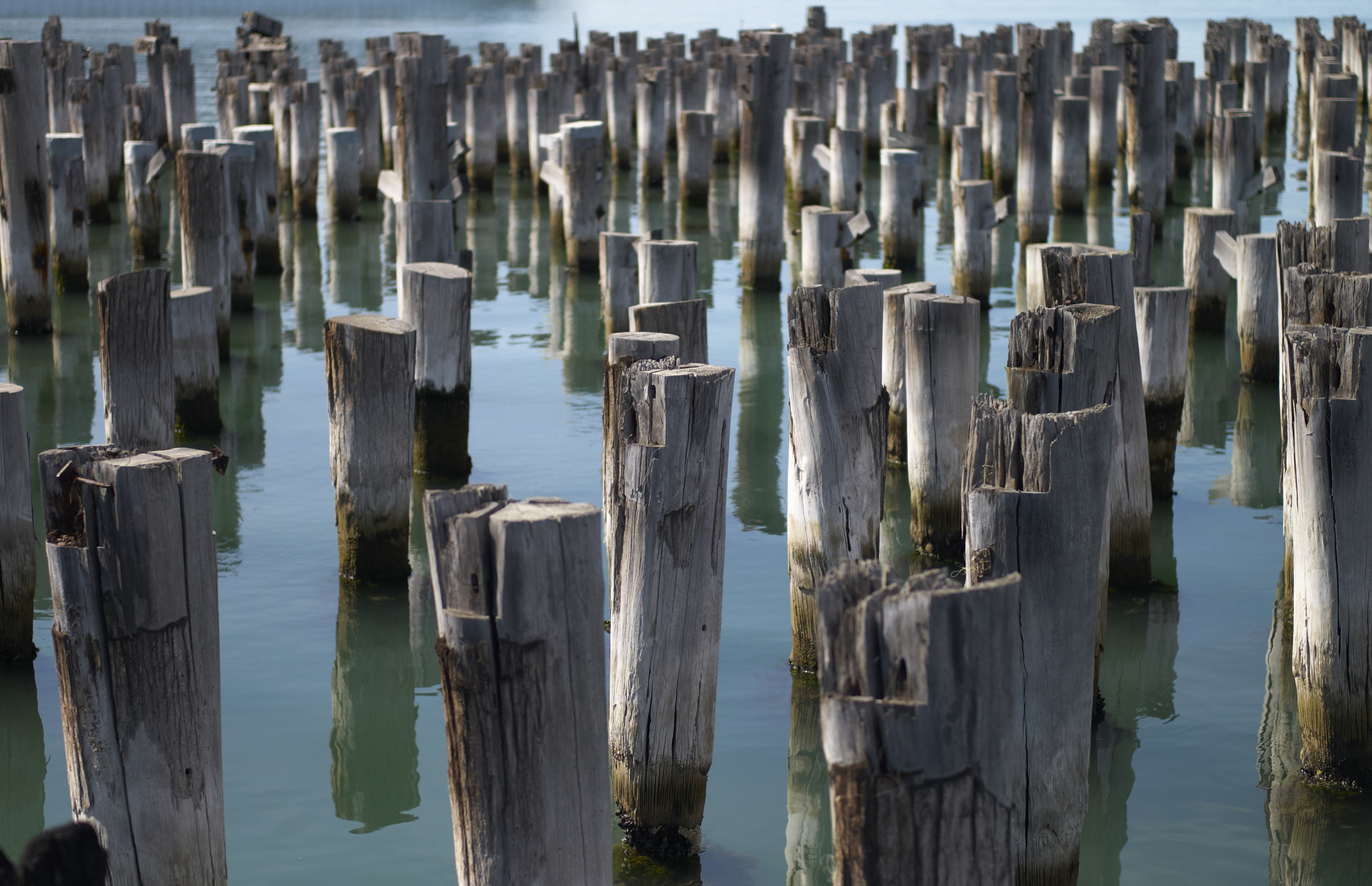 Leica M8 sample photo. Pier photography