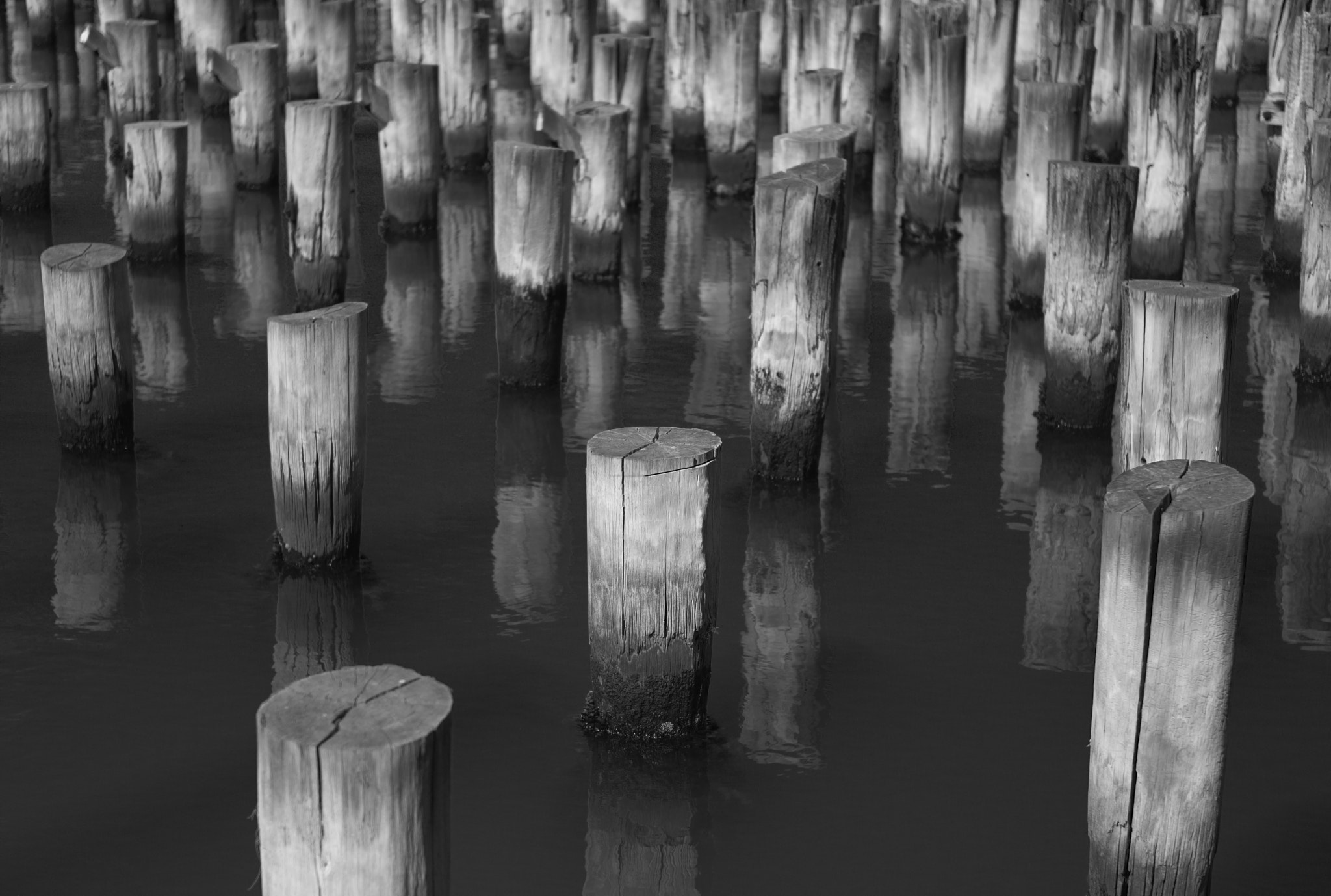 Leica M8 sample photo. Pier photography