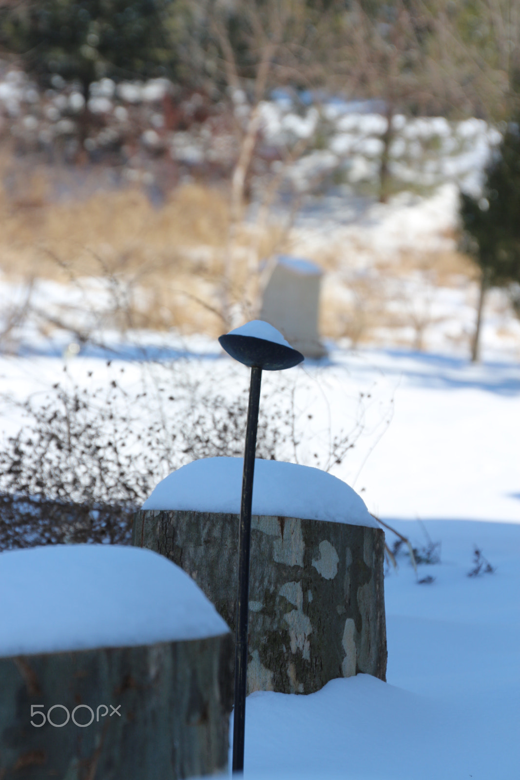 Canon EOS 650D (EOS Rebel T4i / EOS Kiss X6i) sample photo. Winter photography