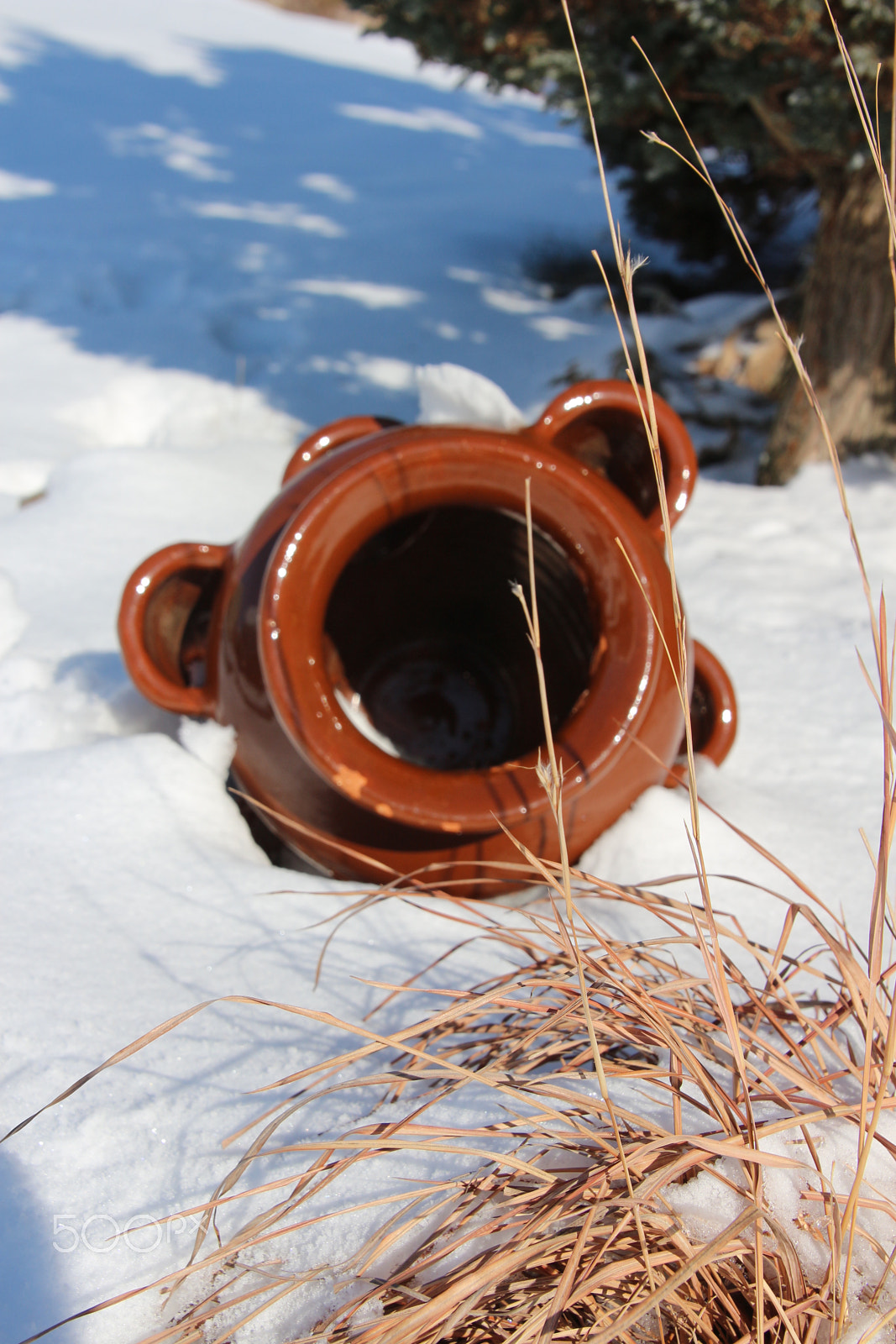 Canon EOS 650D (EOS Rebel T4i / EOS Kiss X6i) sample photo. Winter photography
