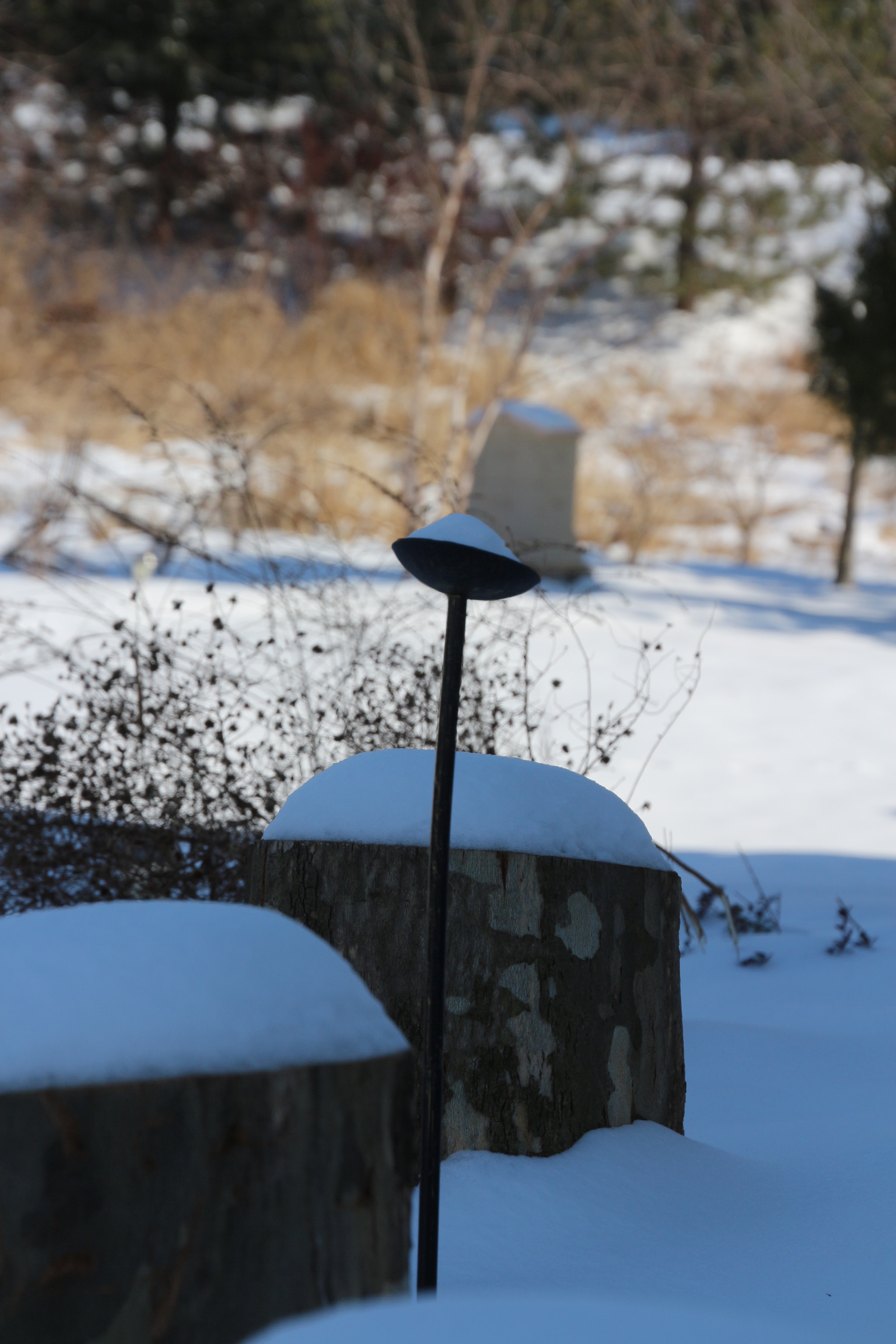 Canon EOS 650D (EOS Rebel T4i / EOS Kiss X6i) sample photo. Winter photography