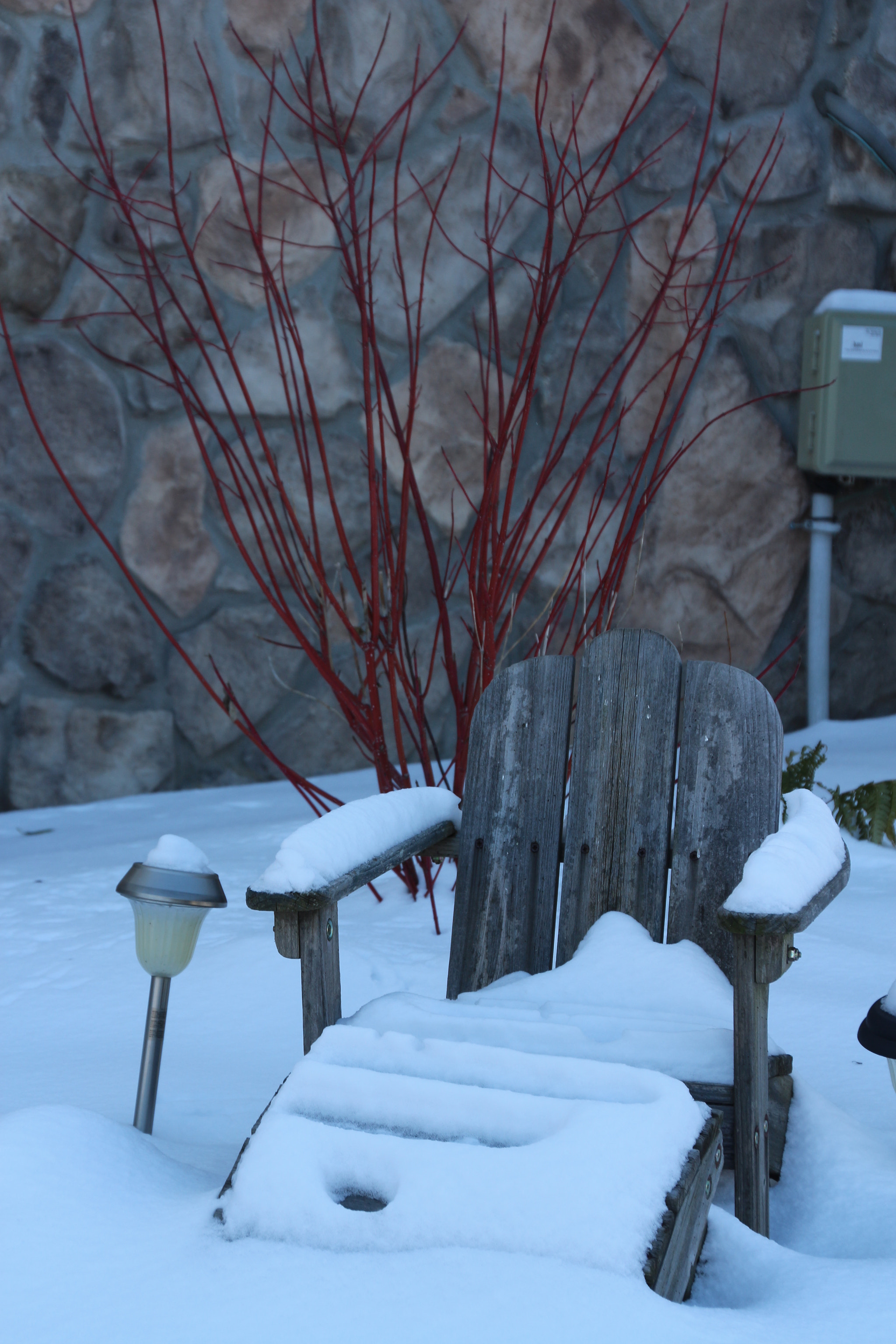 Canon EOS 650D (EOS Rebel T4i / EOS Kiss X6i) sample photo. Winter photography