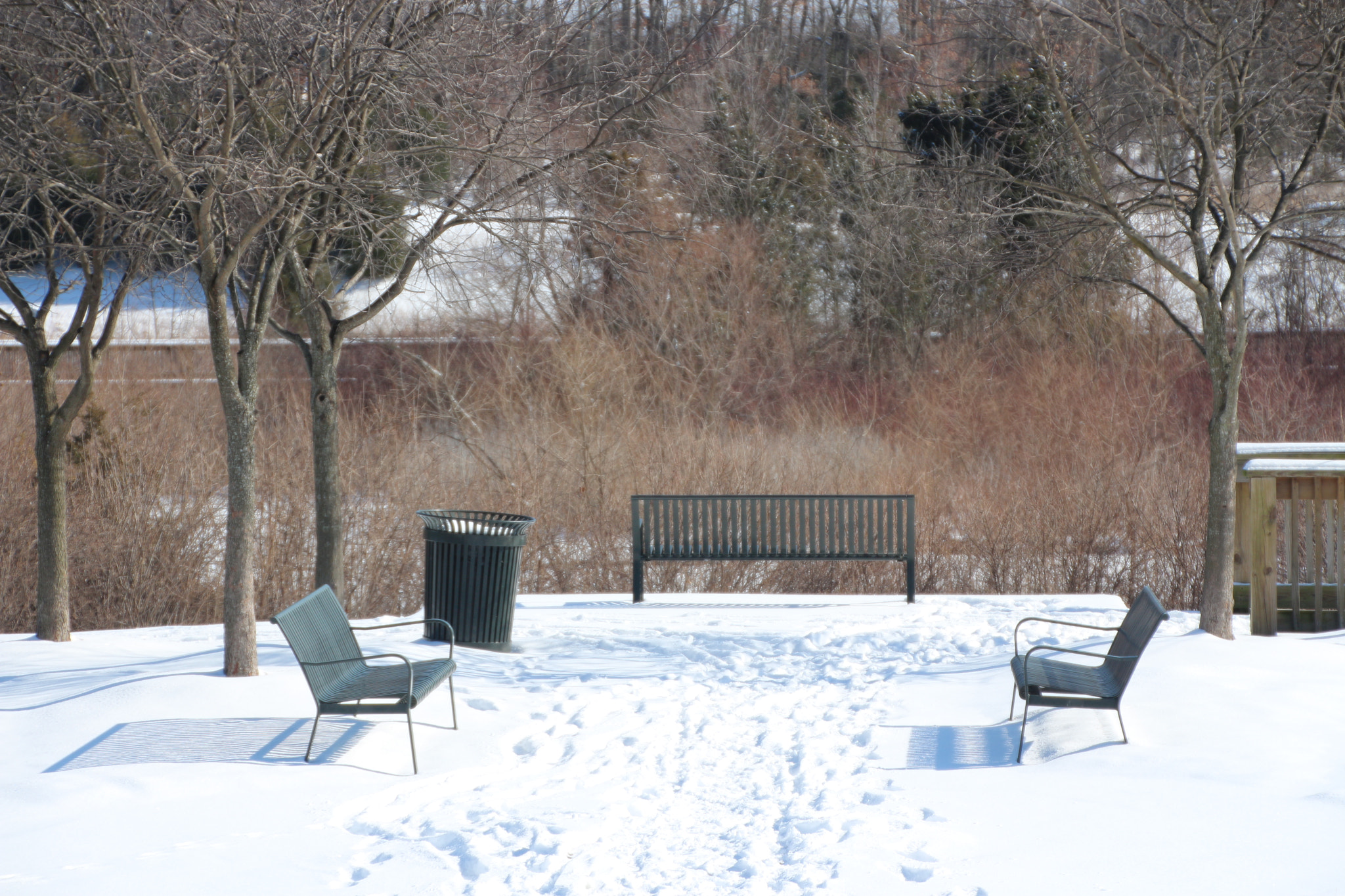 Canon EOS 650D (EOS Rebel T4i / EOS Kiss X6i) sample photo. Winter photography