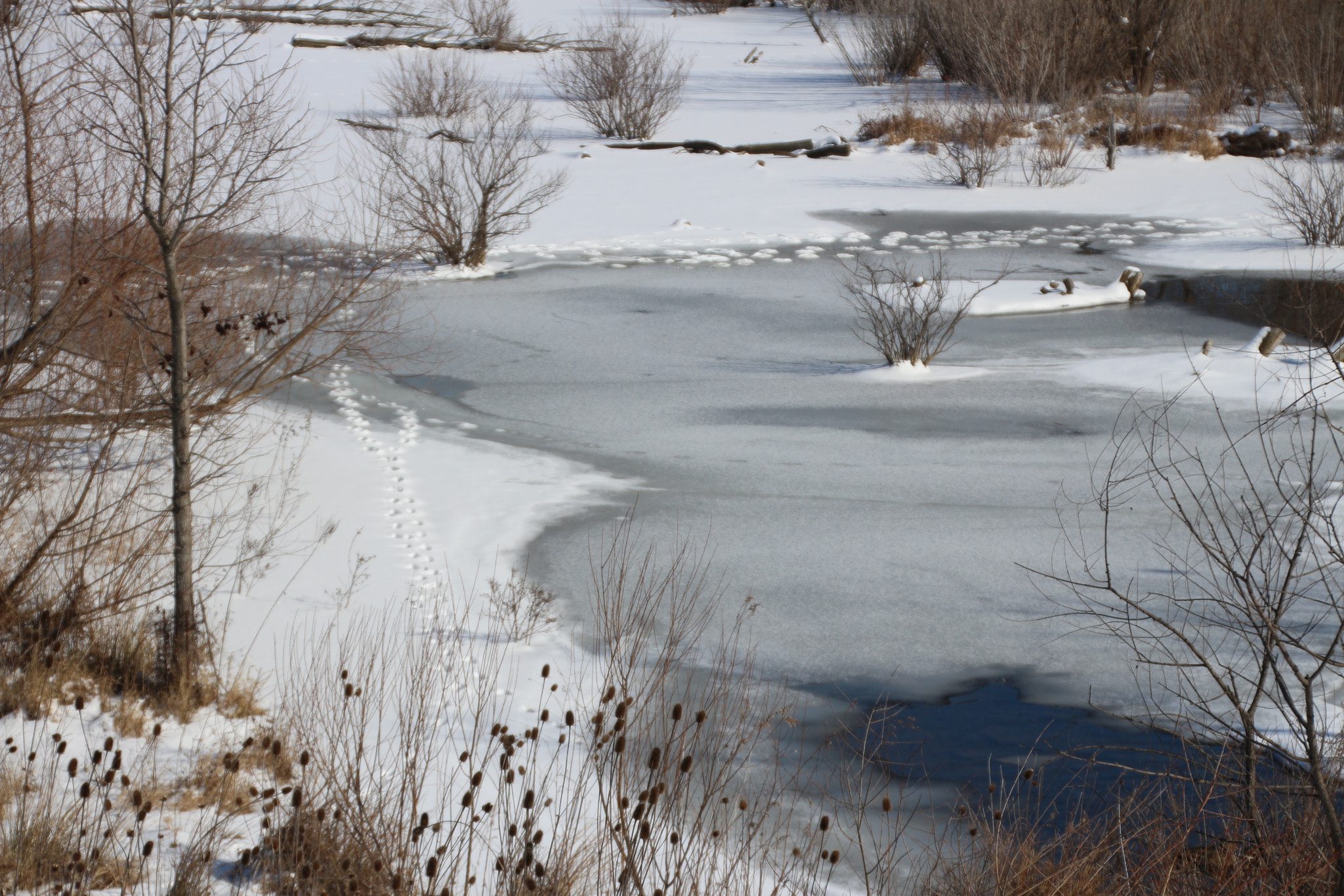 Canon EOS 650D (EOS Rebel T4i / EOS Kiss X6i) sample photo. Winter photography