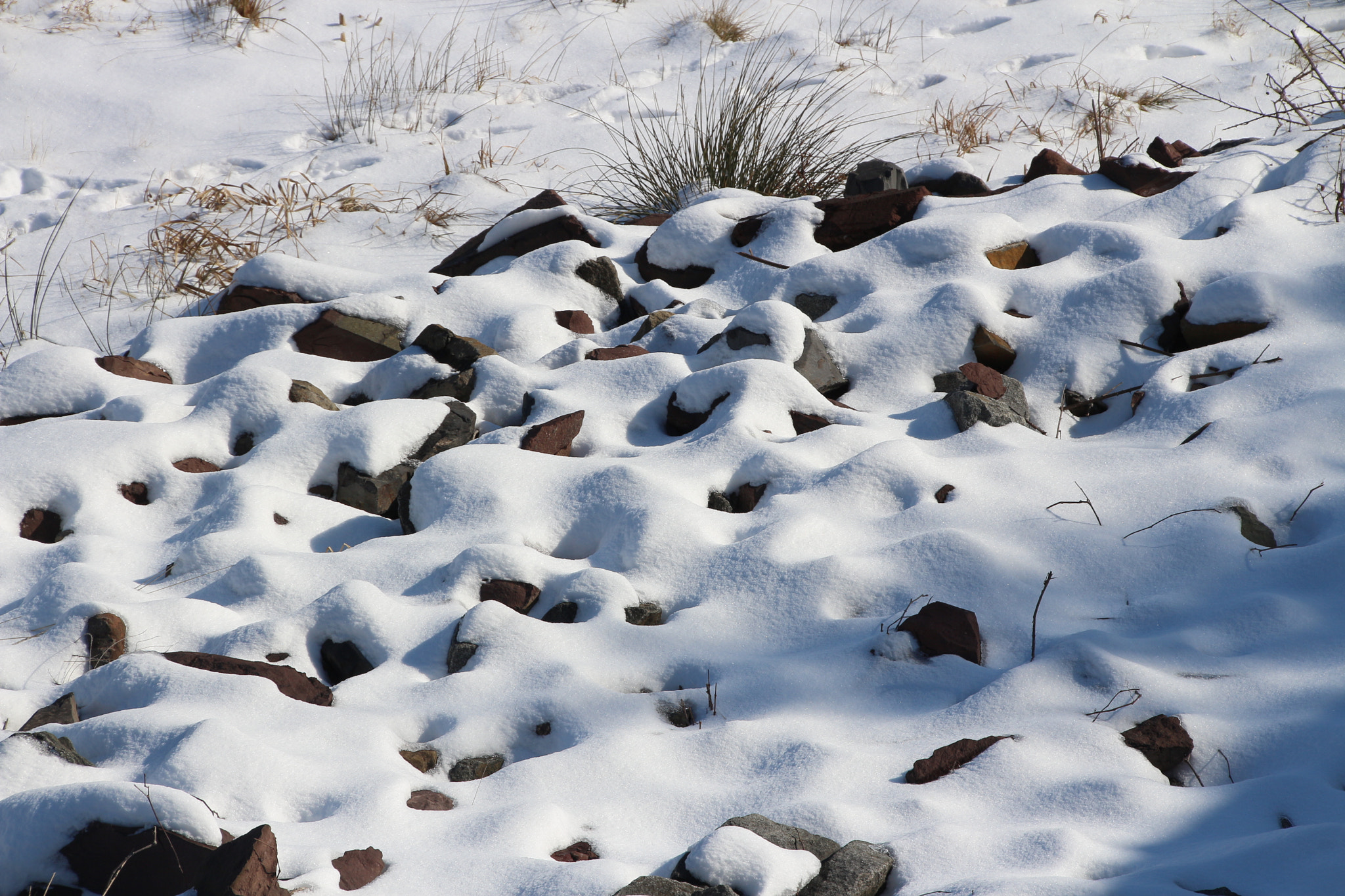 Canon EOS 650D (EOS Rebel T4i / EOS Kiss X6i) sample photo. Winter photography