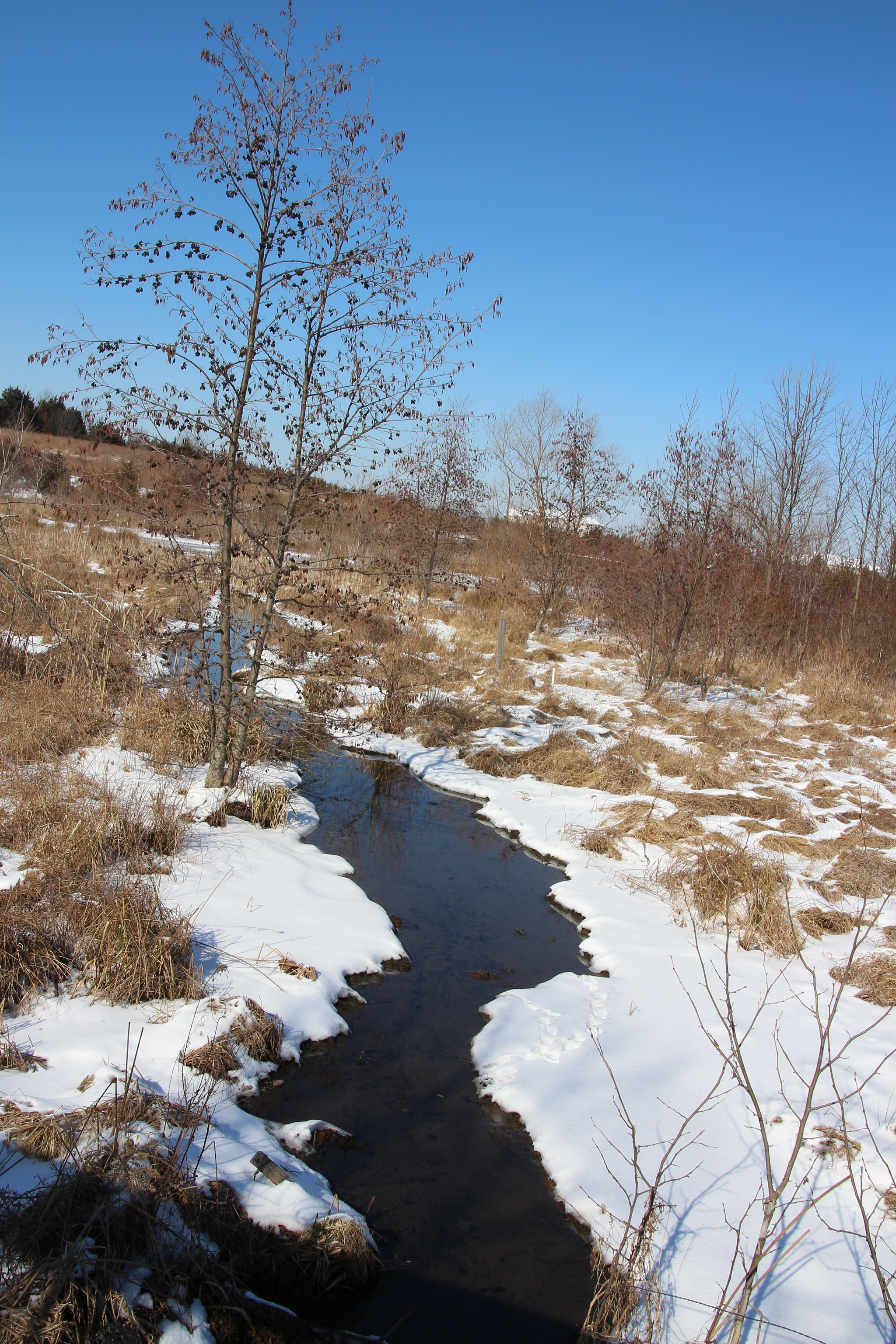 Canon EOS 650D (EOS Rebel T4i / EOS Kiss X6i) sample photo. Winter photography