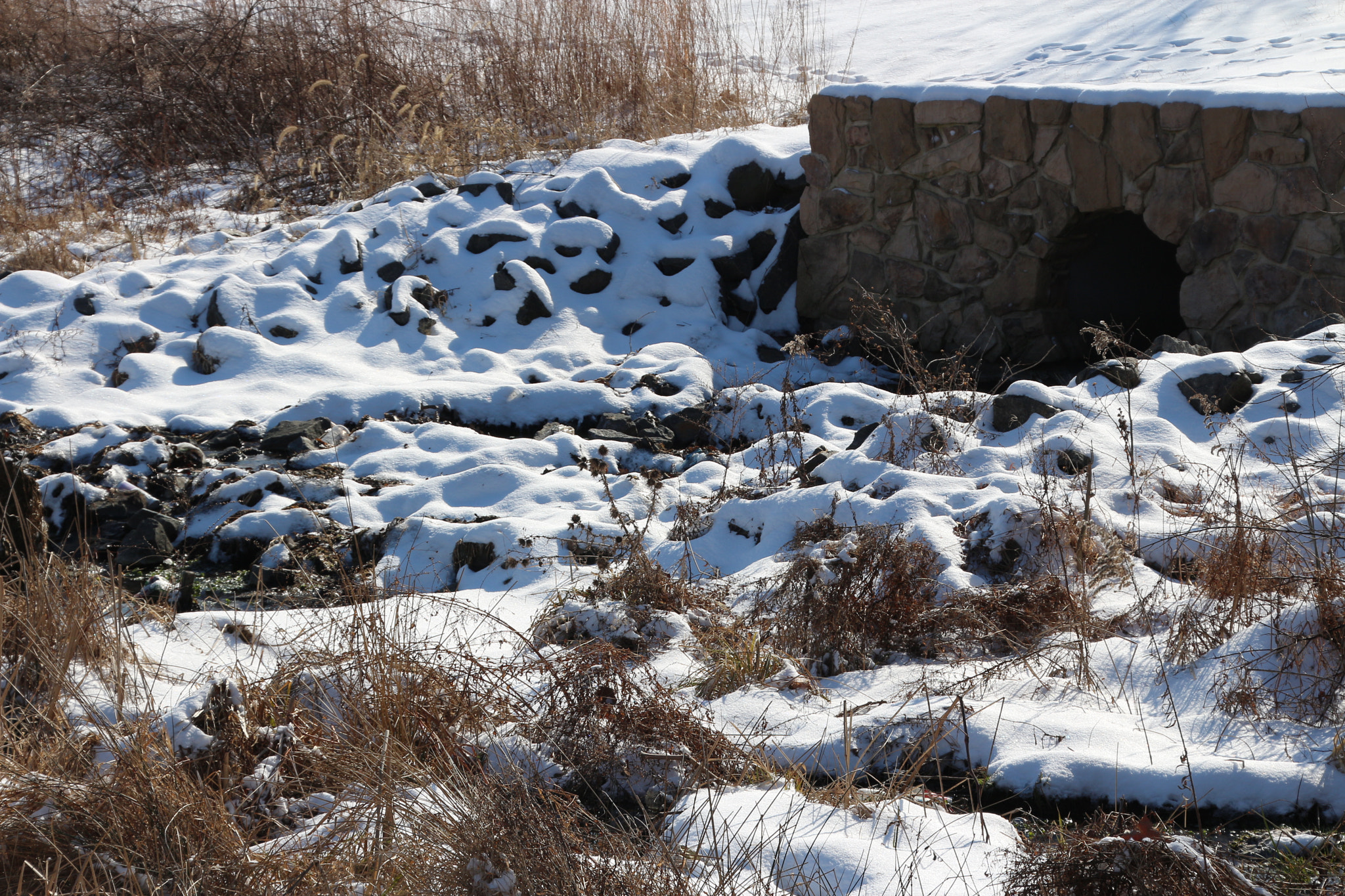 Canon EOS 650D (EOS Rebel T4i / EOS Kiss X6i) sample photo. Winter photography
