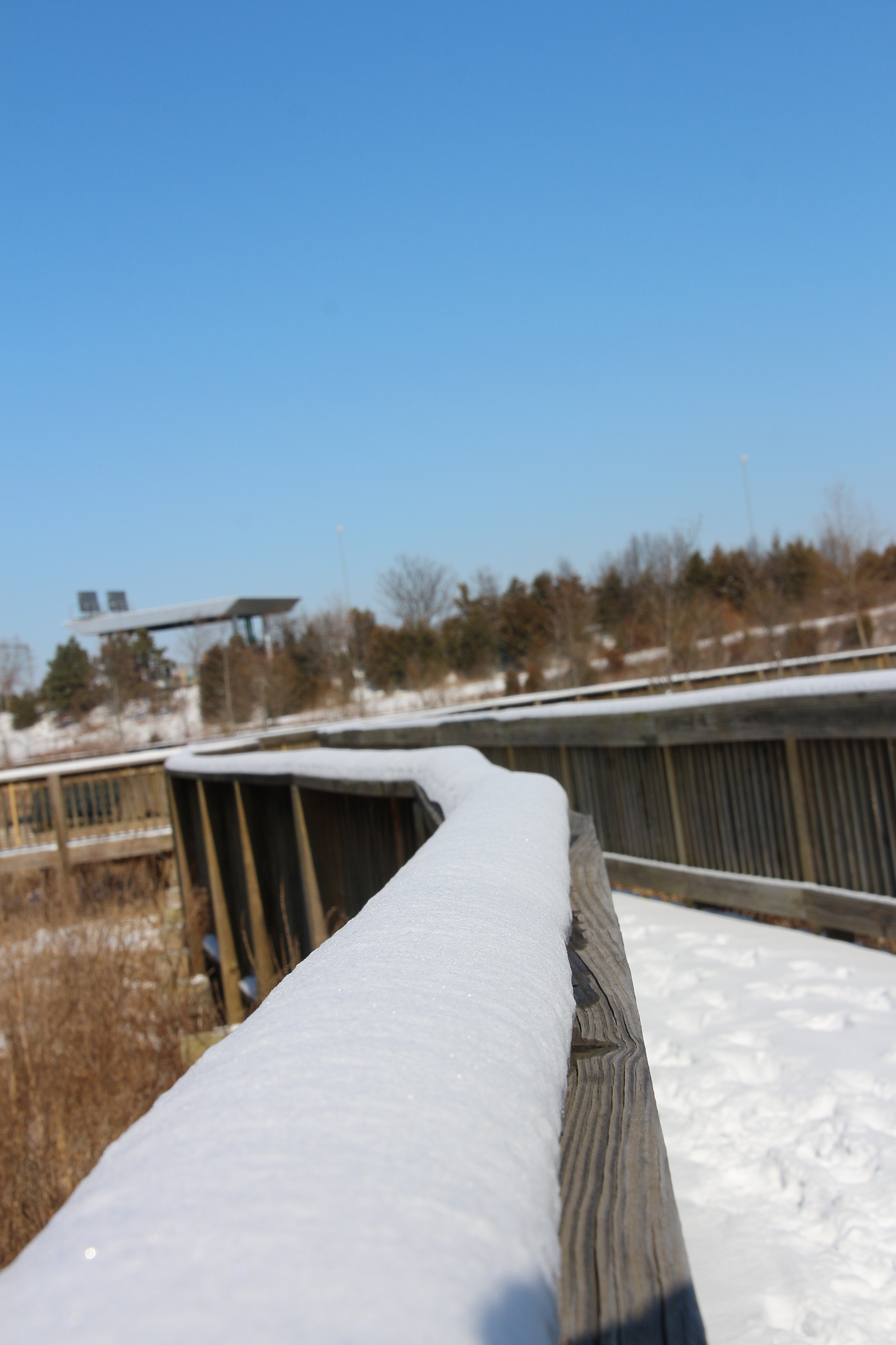 Canon EOS 650D (EOS Rebel T4i / EOS Kiss X6i) sample photo. Winter photography