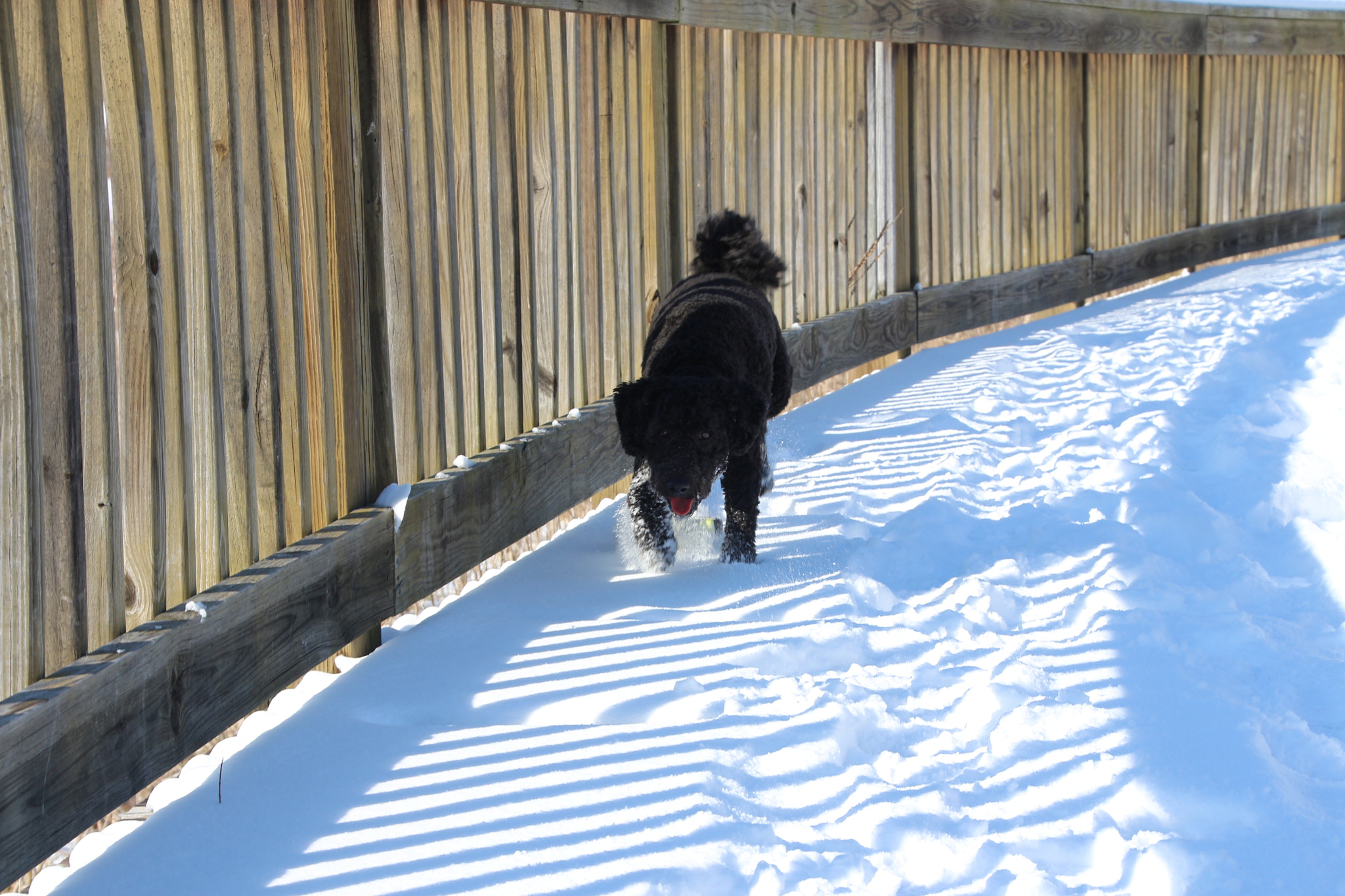 Canon EOS 650D (EOS Rebel T4i / EOS Kiss X6i) sample photo. Winter photography