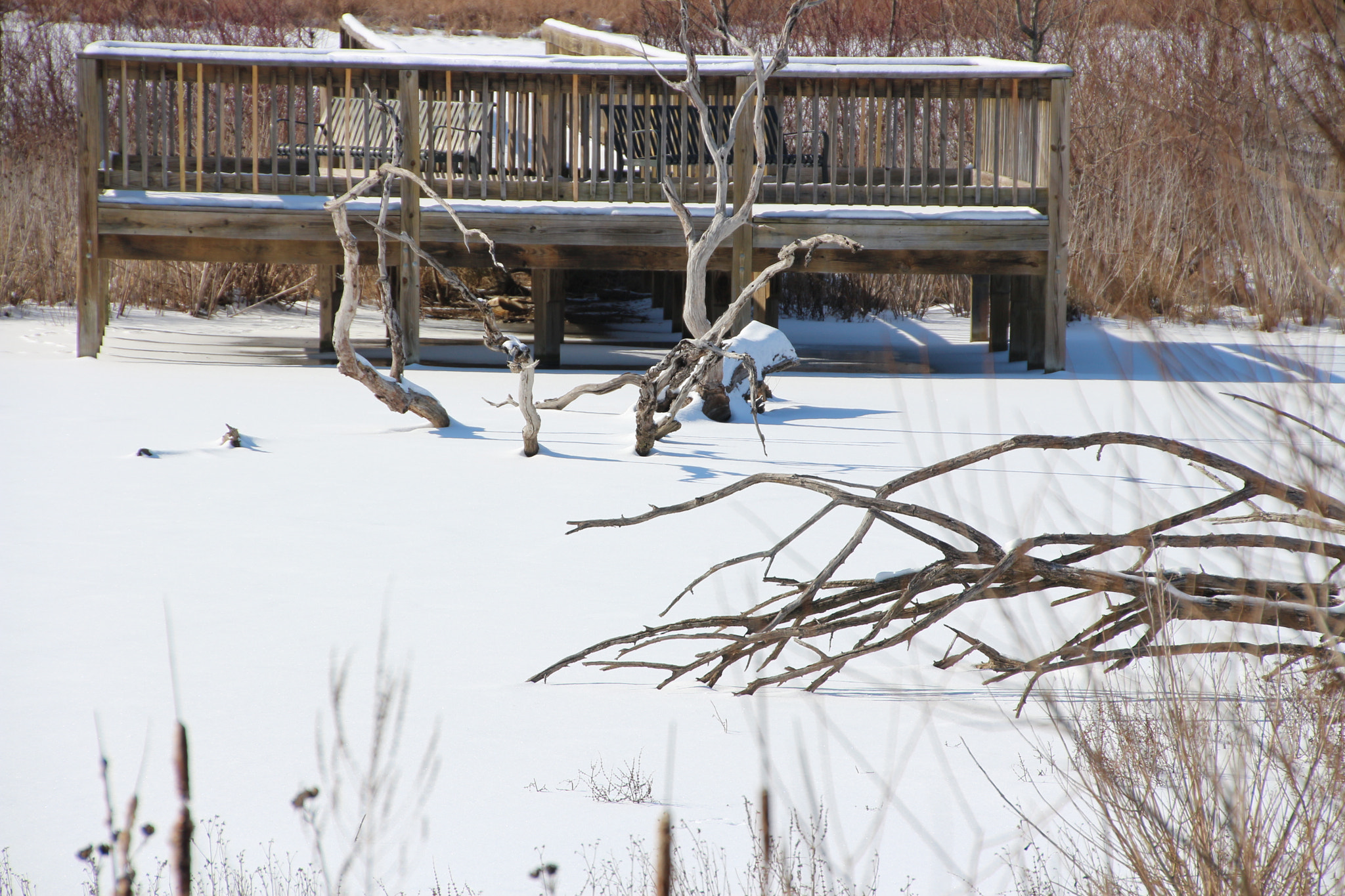 Canon EOS 650D (EOS Rebel T4i / EOS Kiss X6i) + Tamron 18-270mm F3.5-6.3 Di II VC PZD sample photo. Winter photography