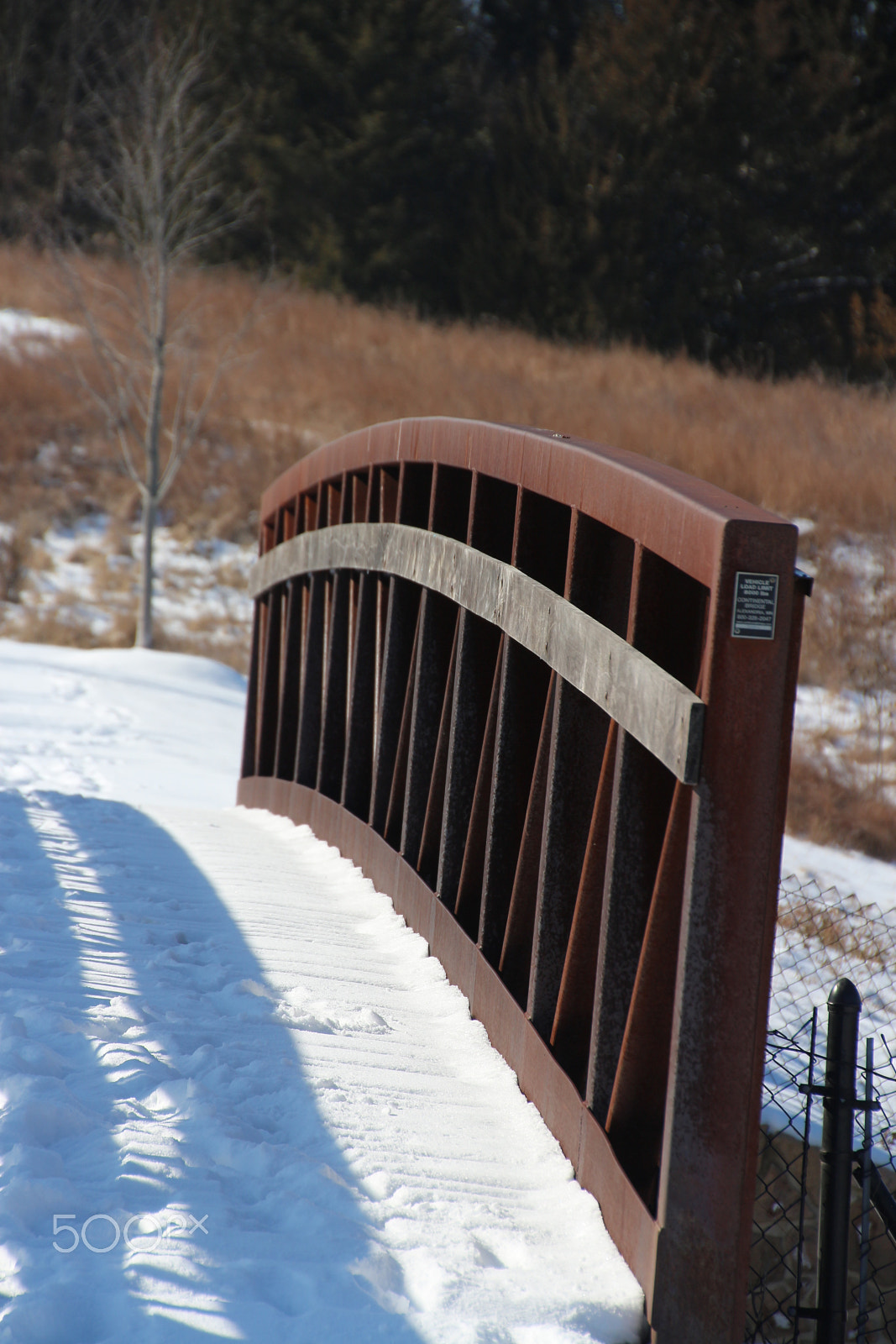 Canon EOS 650D (EOS Rebel T4i / EOS Kiss X6i) sample photo. Winter photography