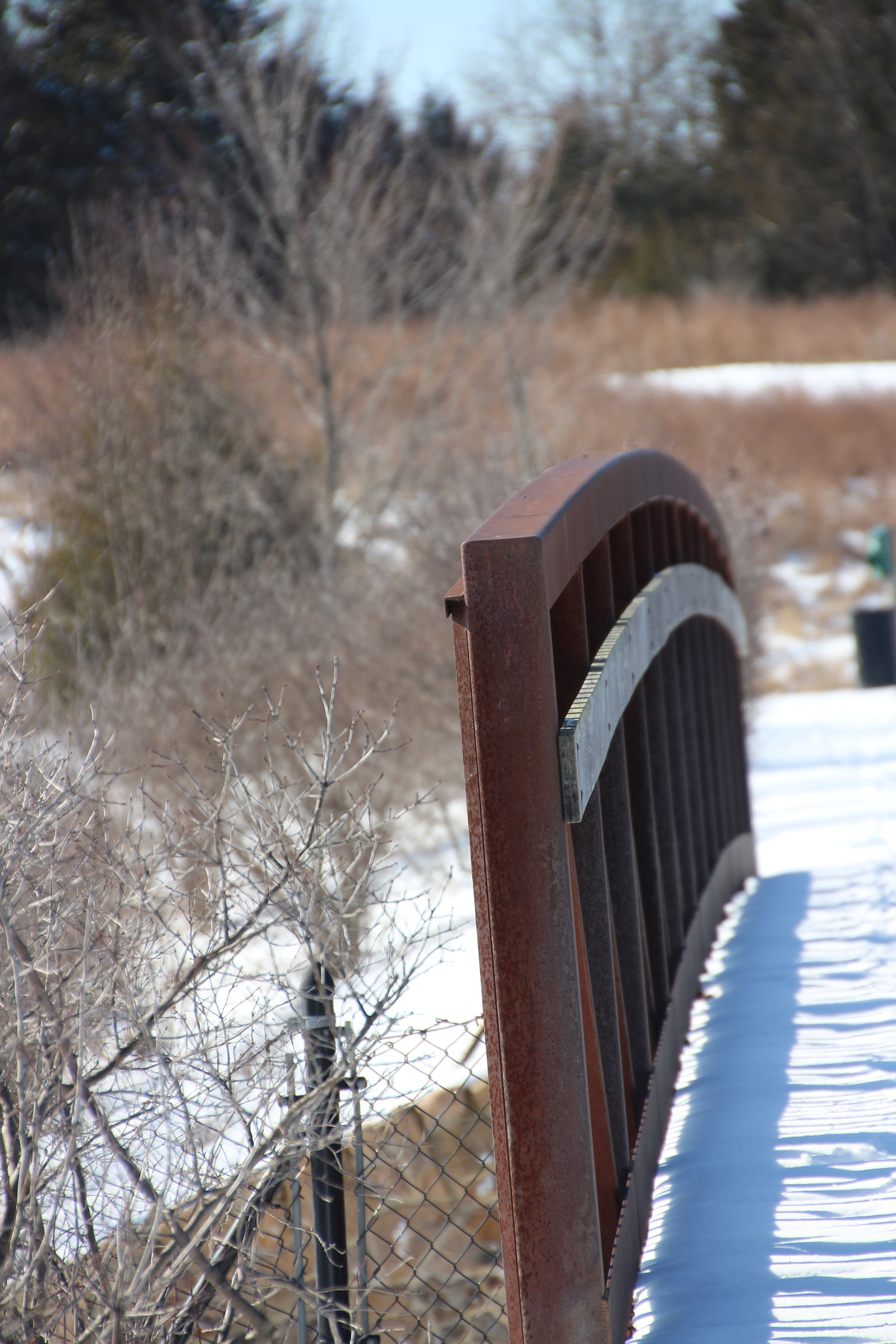 Canon EOS 650D (EOS Rebel T4i / EOS Kiss X6i) + Tamron 18-270mm F3.5-6.3 Di II VC PZD sample photo. Winter photography