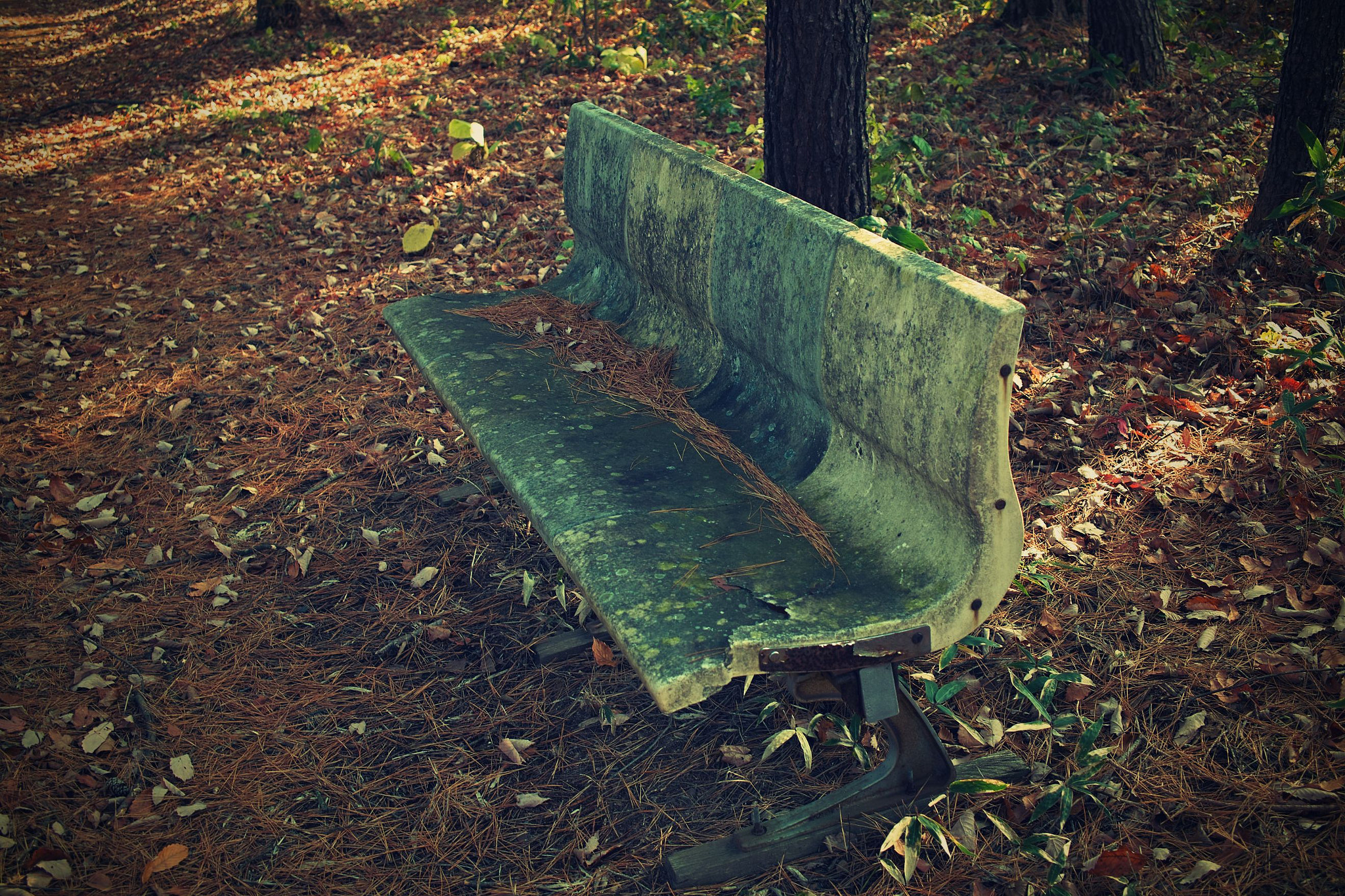 Sigma DP2x sample photo. Bench retro photography