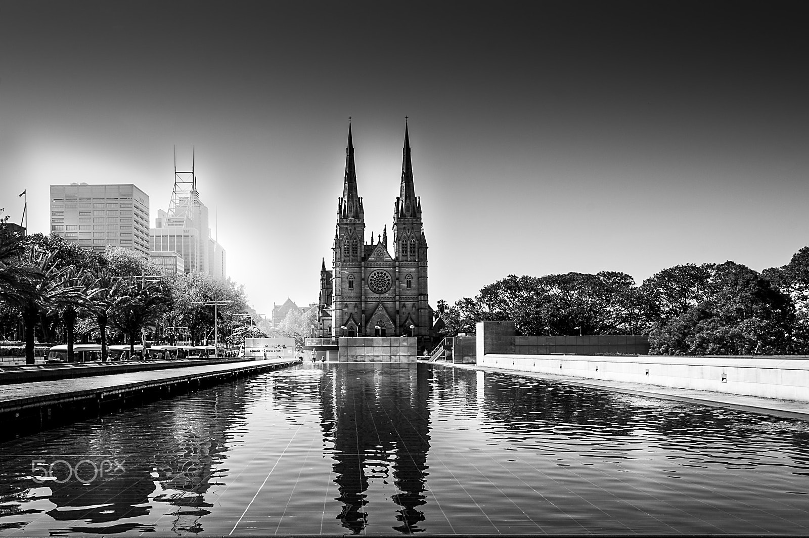 Nikon D4 sample photo. St mary's cathedral, sydney photography