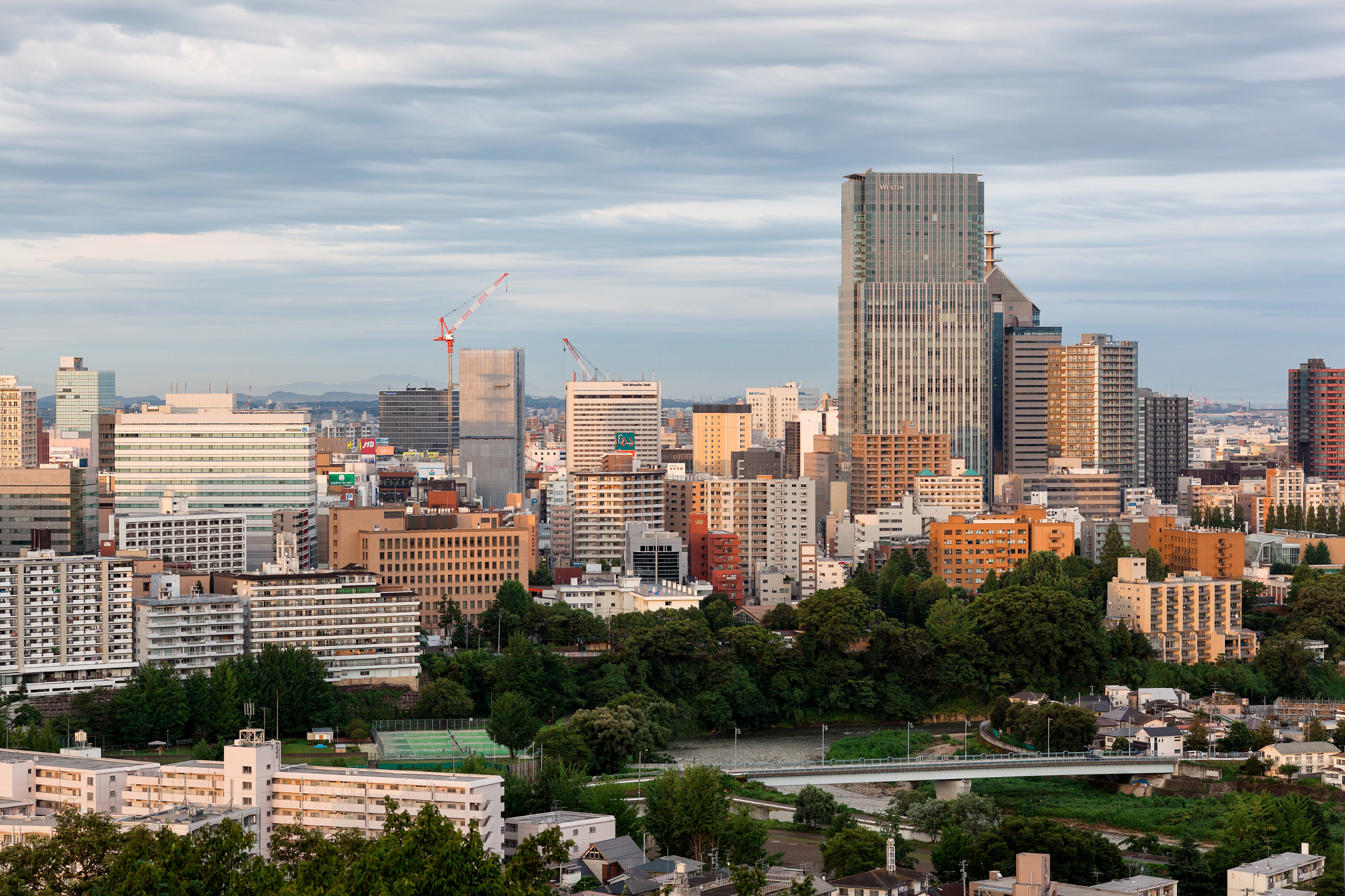 ZEISS Makro-Planar T* 100mm F2 sample photo. Sendai city photography