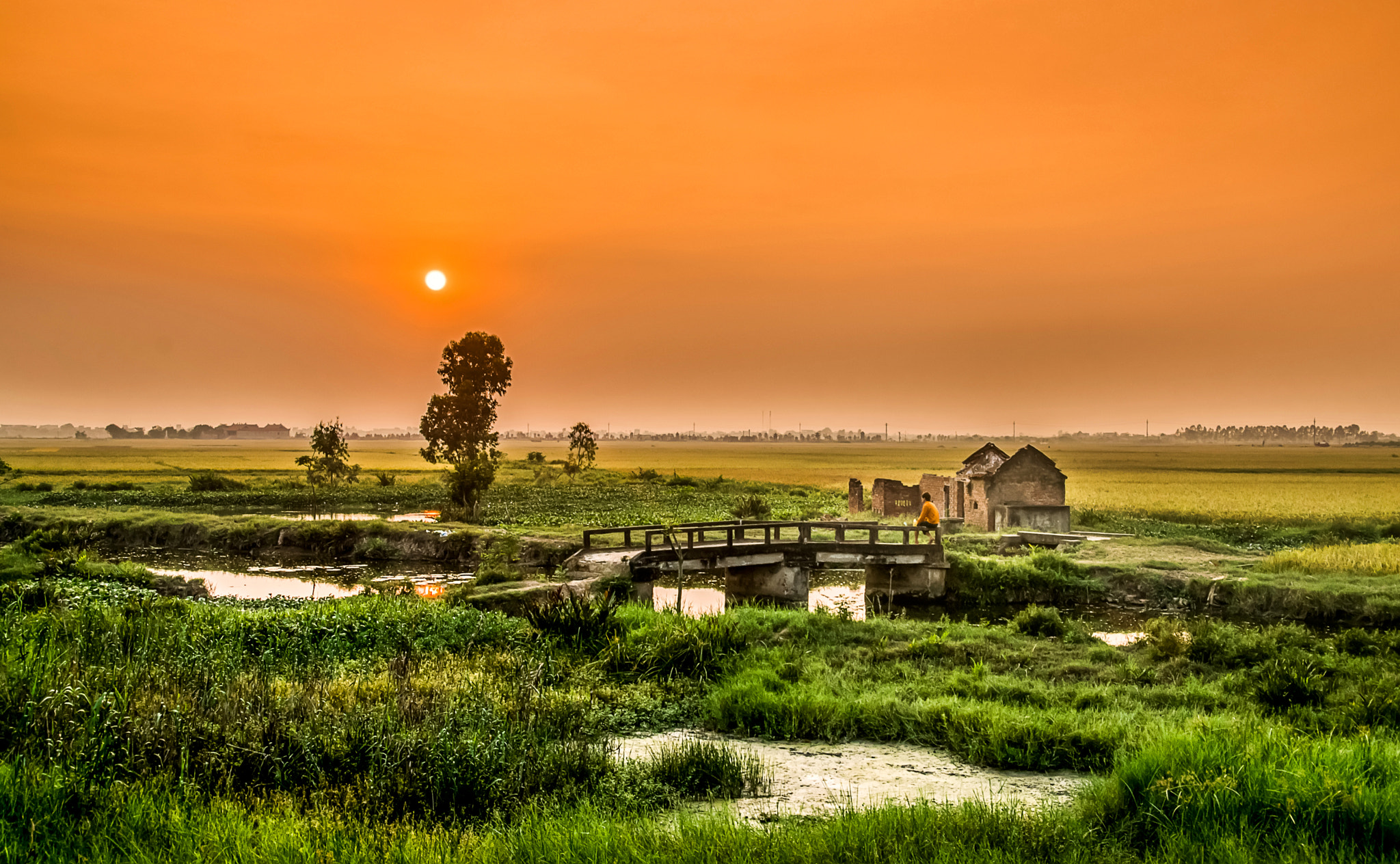 Sigma 18-250mm F3.5-6.3 DC OS HSM sample photo. Afternoon country photography