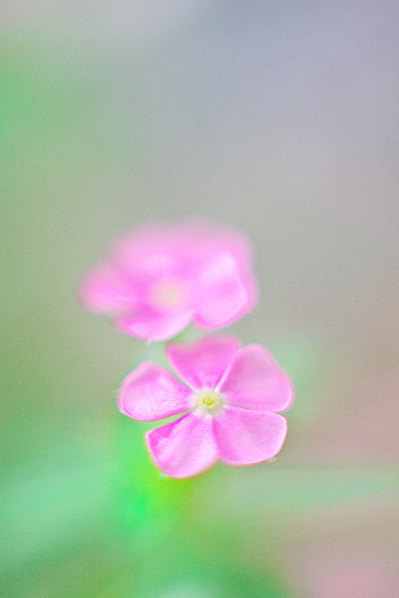 Sony a7S sample photo. Floating in the air photography