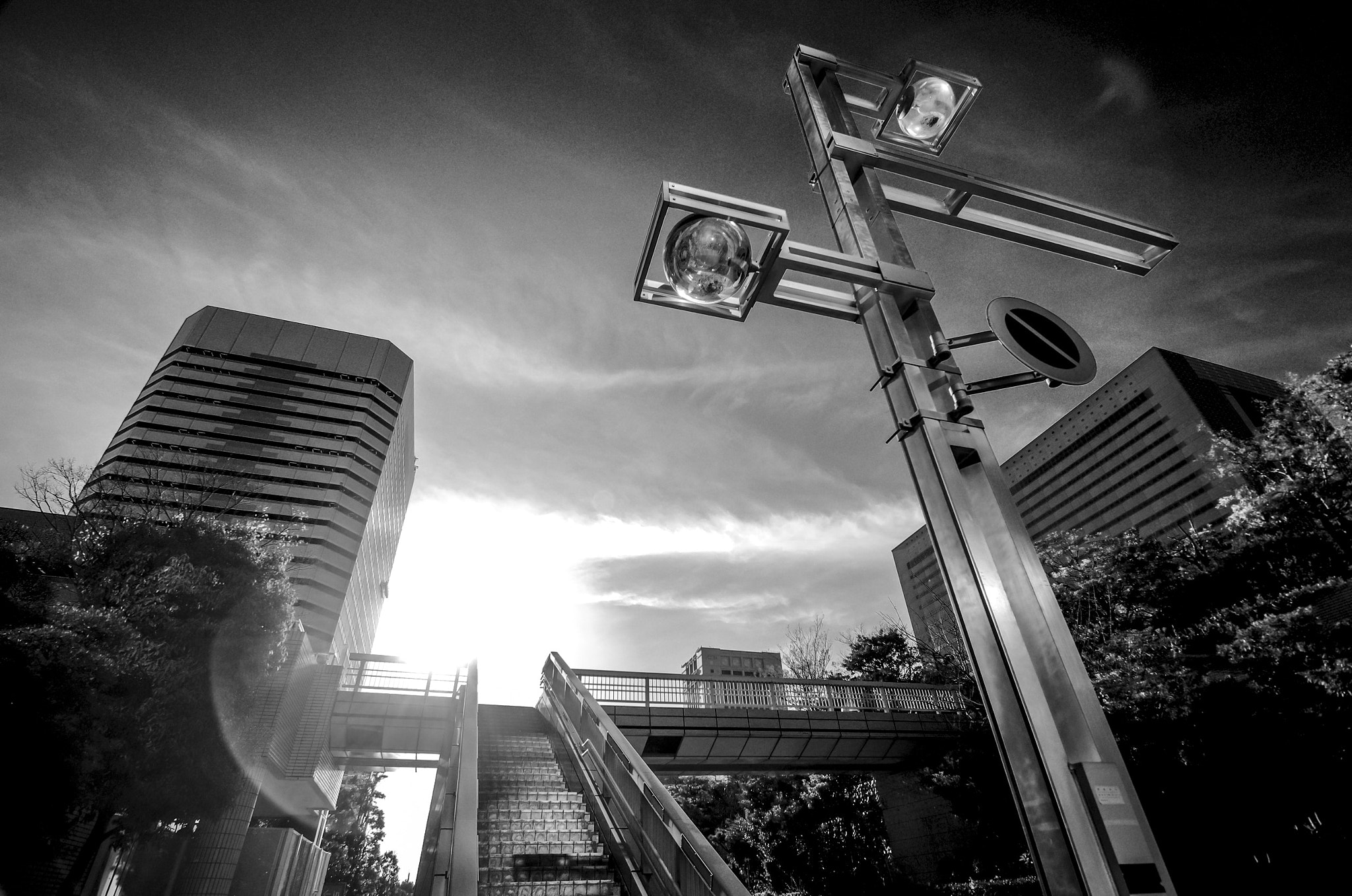 Pentax K-5 IIs sample photo. Look up photography
