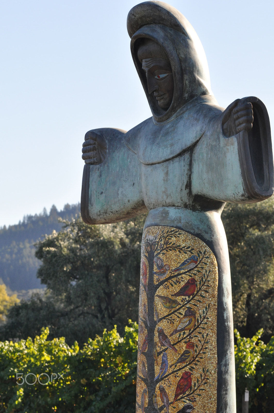 AF Zoom-Nikkor 80-200mm f/2.8 ED sample photo. Napa valley photography