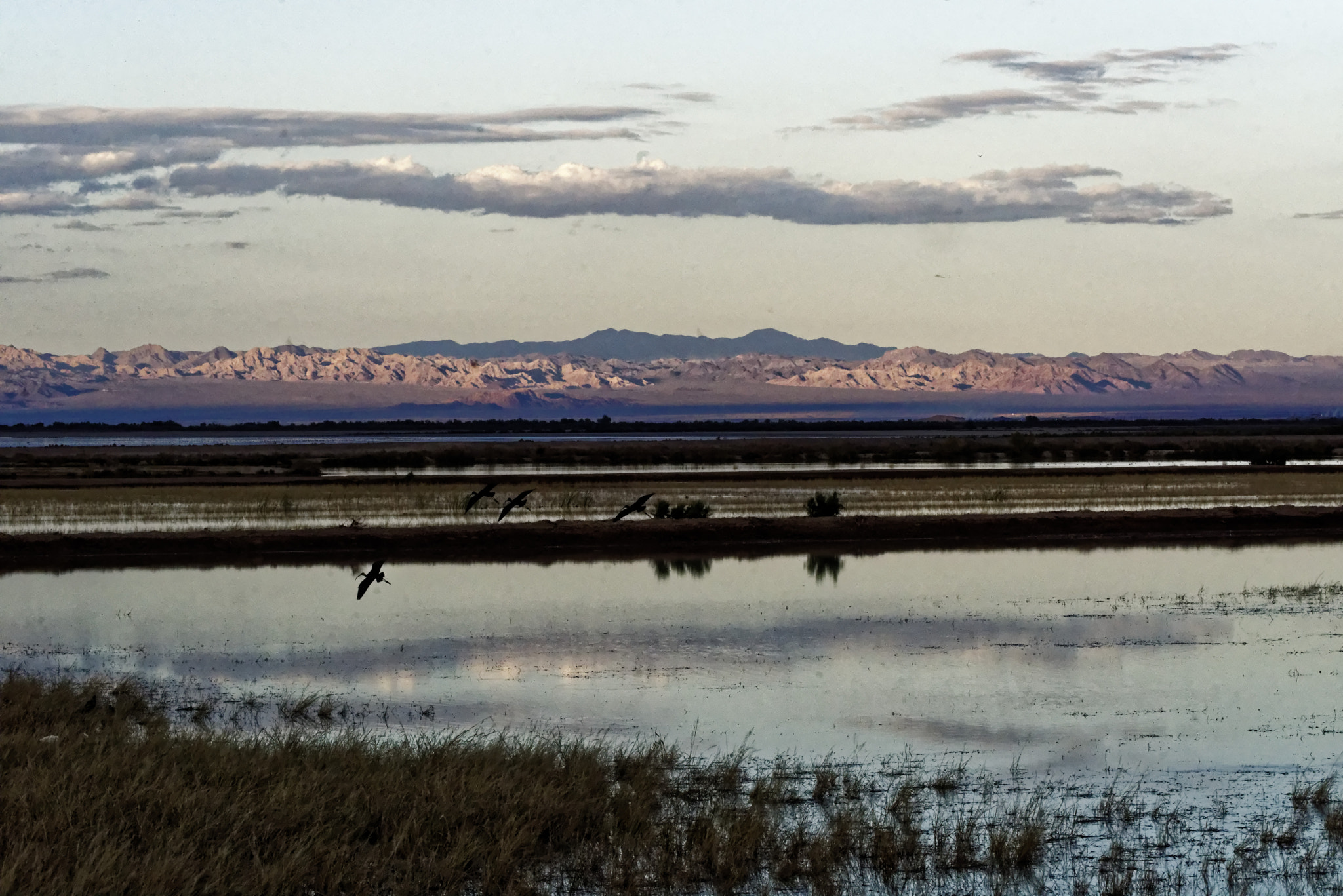 Sony Sonnar T* 135mm F1.8 ZA sample photo. The salton sea photography