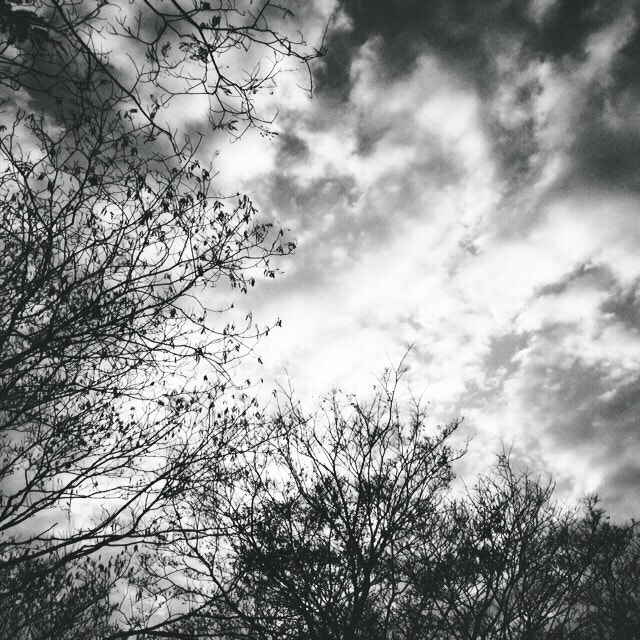Apple iPhone6,2 sample photo. 云坠墨枝 photography