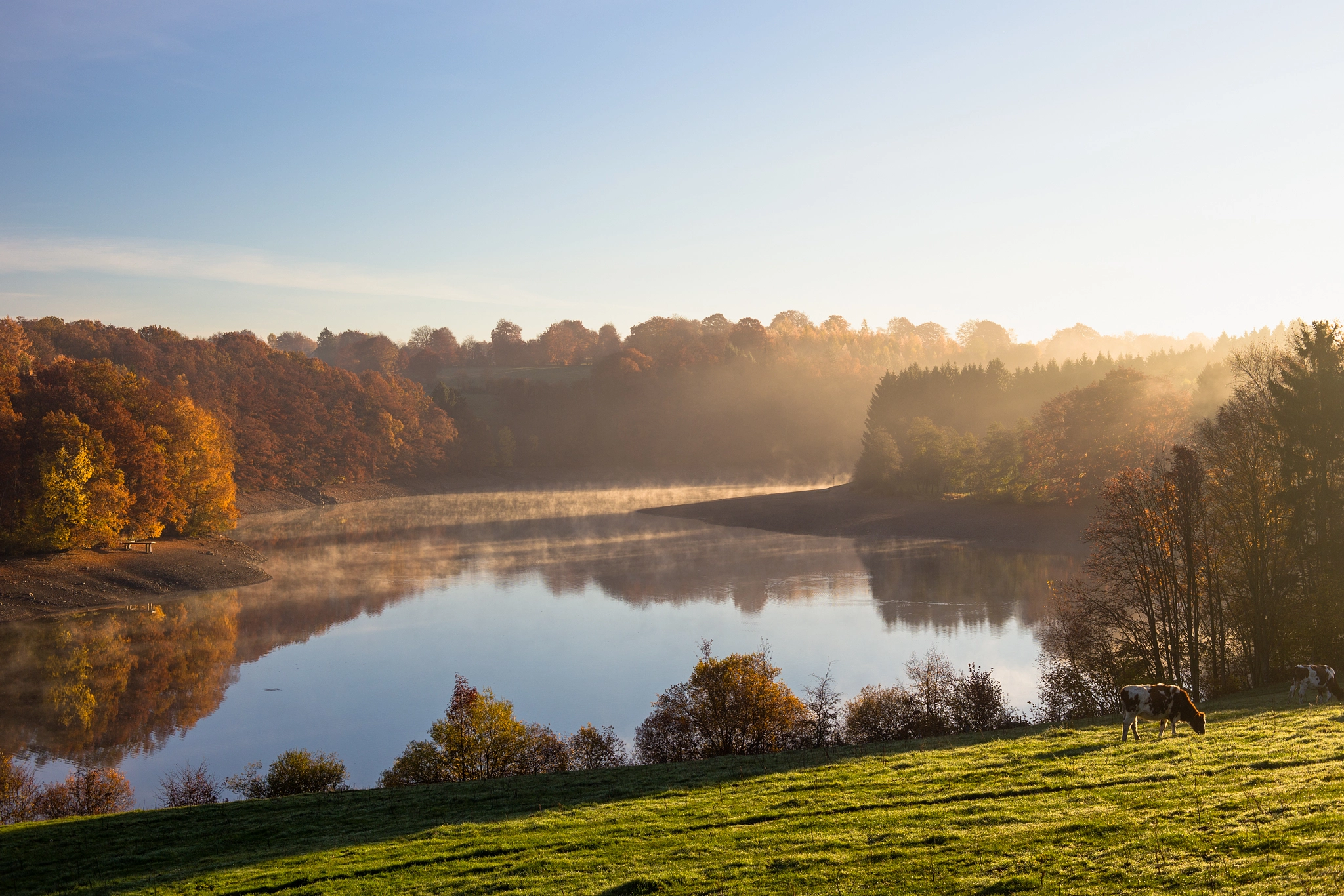 ZEISS Makro-Planar T* 50mm F2 sample photo. Lac de robertville photography