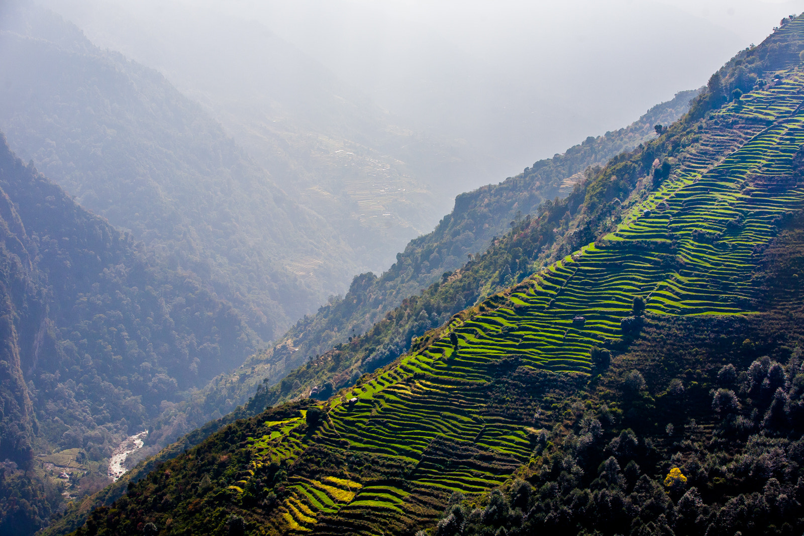 Canon EF 70-200mm F2.8L IS II USM sample photo. Nepali terraces photography