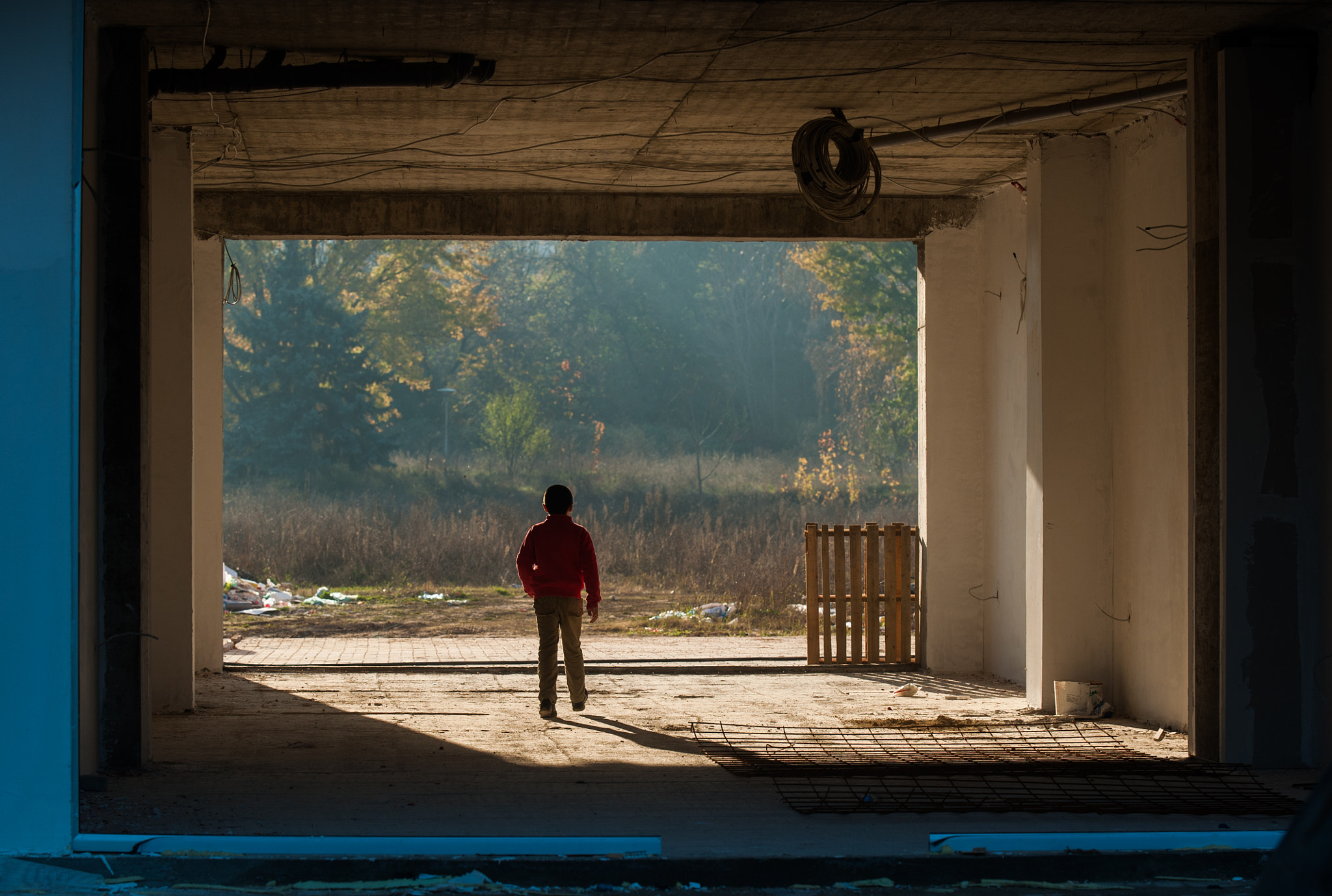 AF-S Zoom-Nikkor 80-200mm f/2.8D IF-ED sample photo. Out from the shadows photography