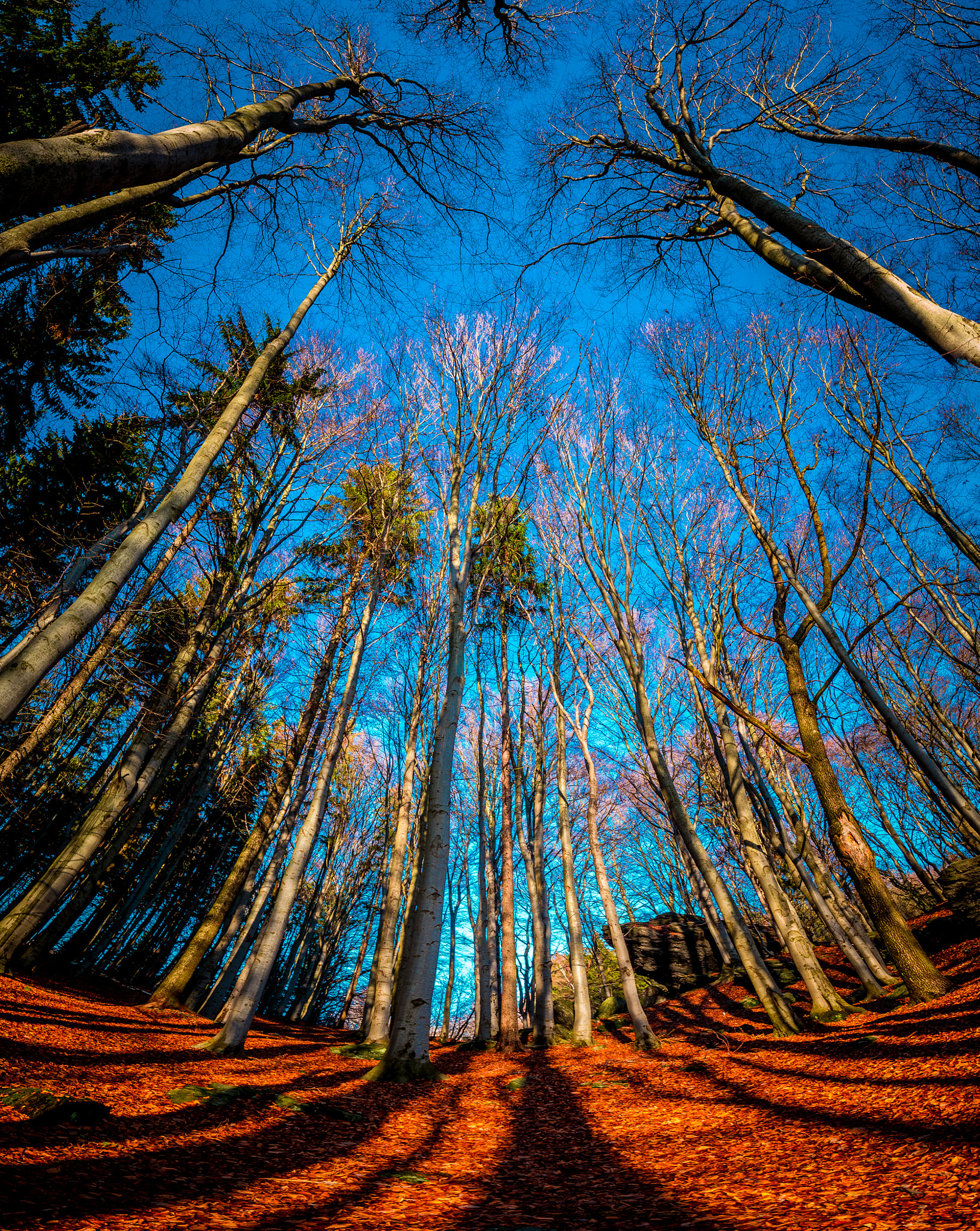 Samsung NX30 + Samsung NX 12-24mm F4-5.6 ED sample photo. Vertical panorama photography