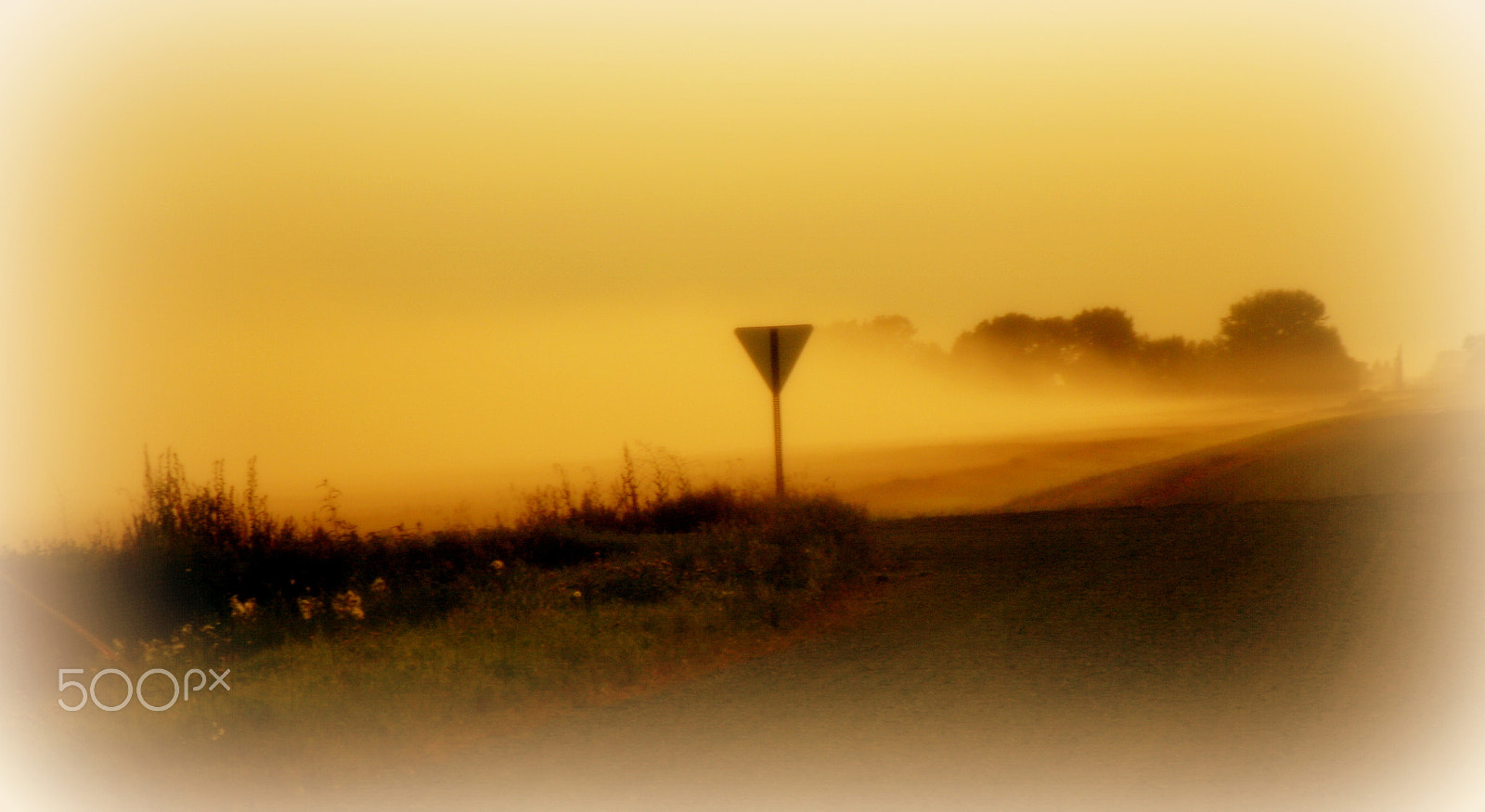 GENERAL IMAGING CO. A1455 sample photo. Yellow haze photography