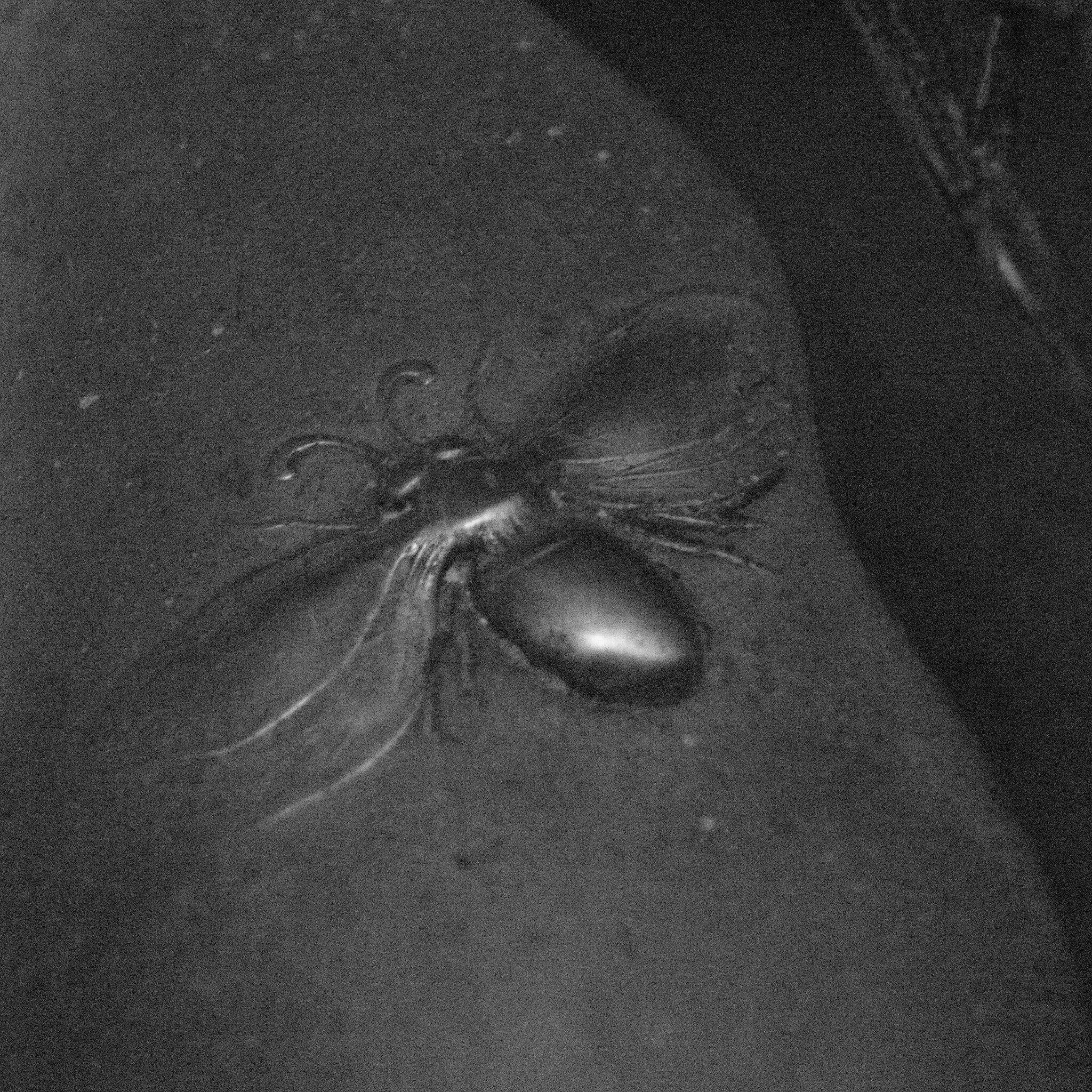 Ricoh Caplio GX100 sample photo. Exif_jpeg_picture photography